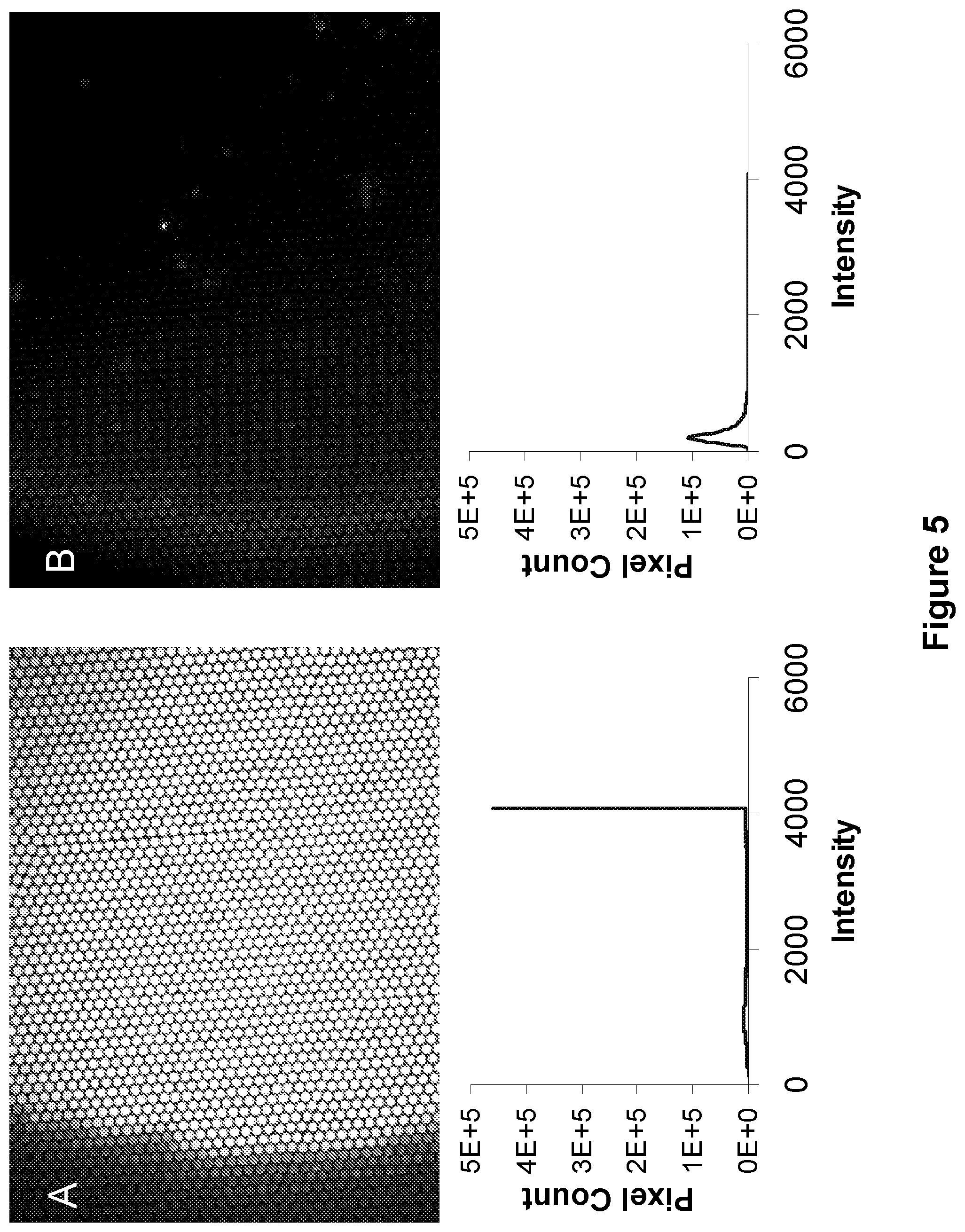 Patent US12105108 Figure 5 – Scalable bio-element analysis
