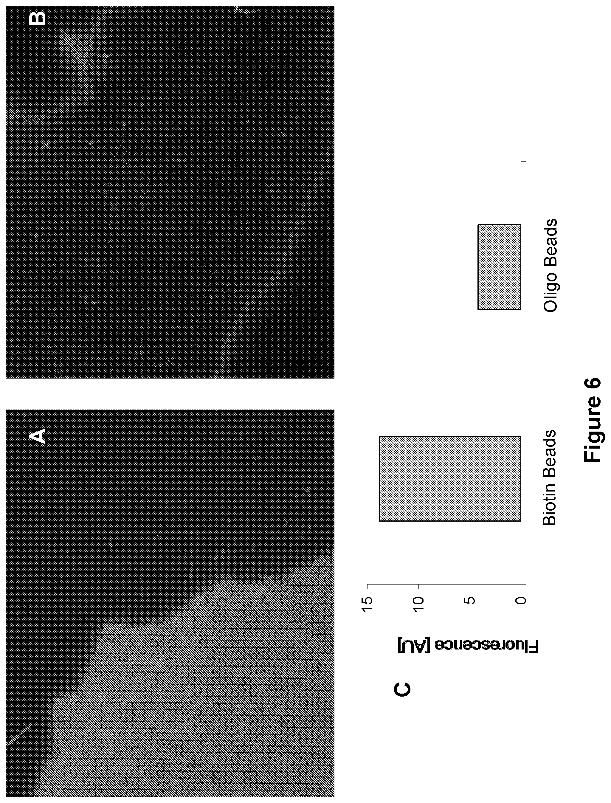 Patent US12105108 Figure 6 – Scalable bio-element analysis