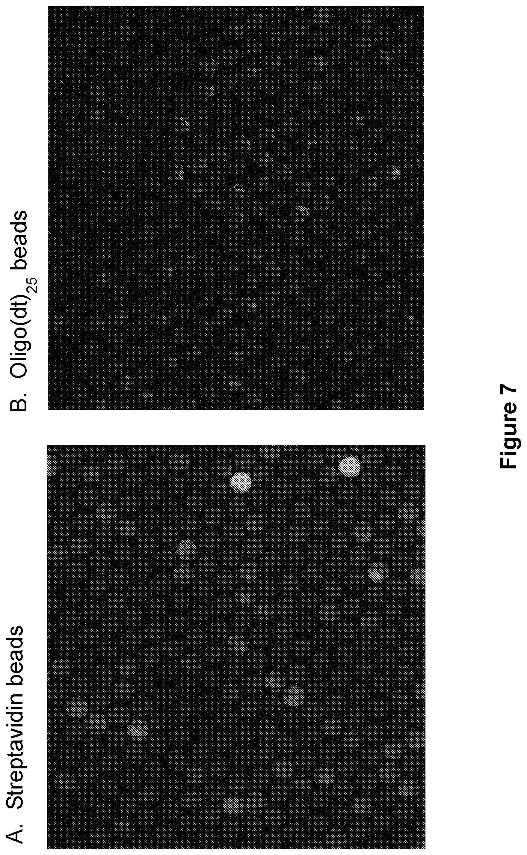 Patent US12105108 Figure 7 – Scalable bio-element analysis