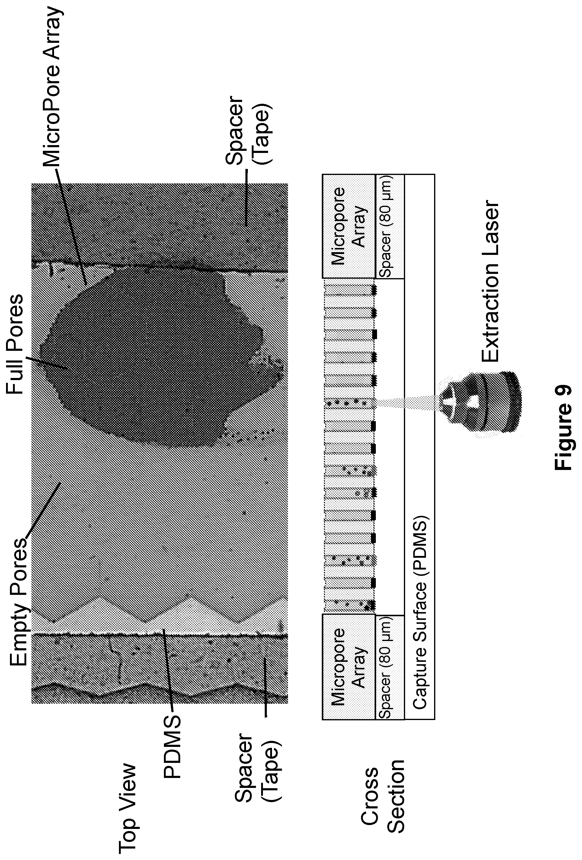 Patent US12105108 Figure 9 – Scalable bio-element analysis