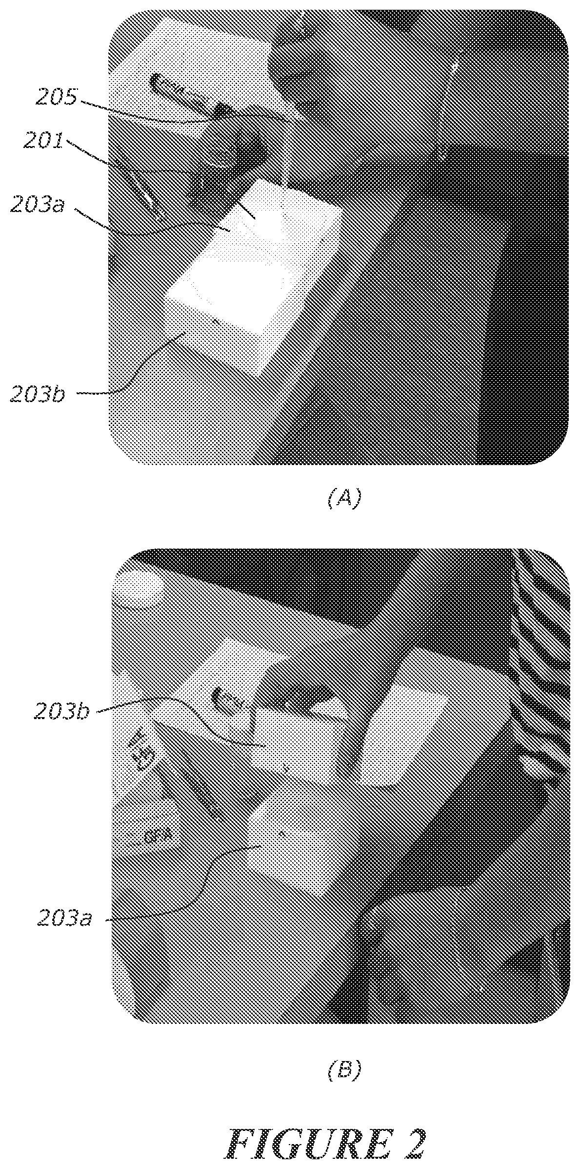 Patent US12105109 Figure 2 – Method for assessing dry matter in horticultural products