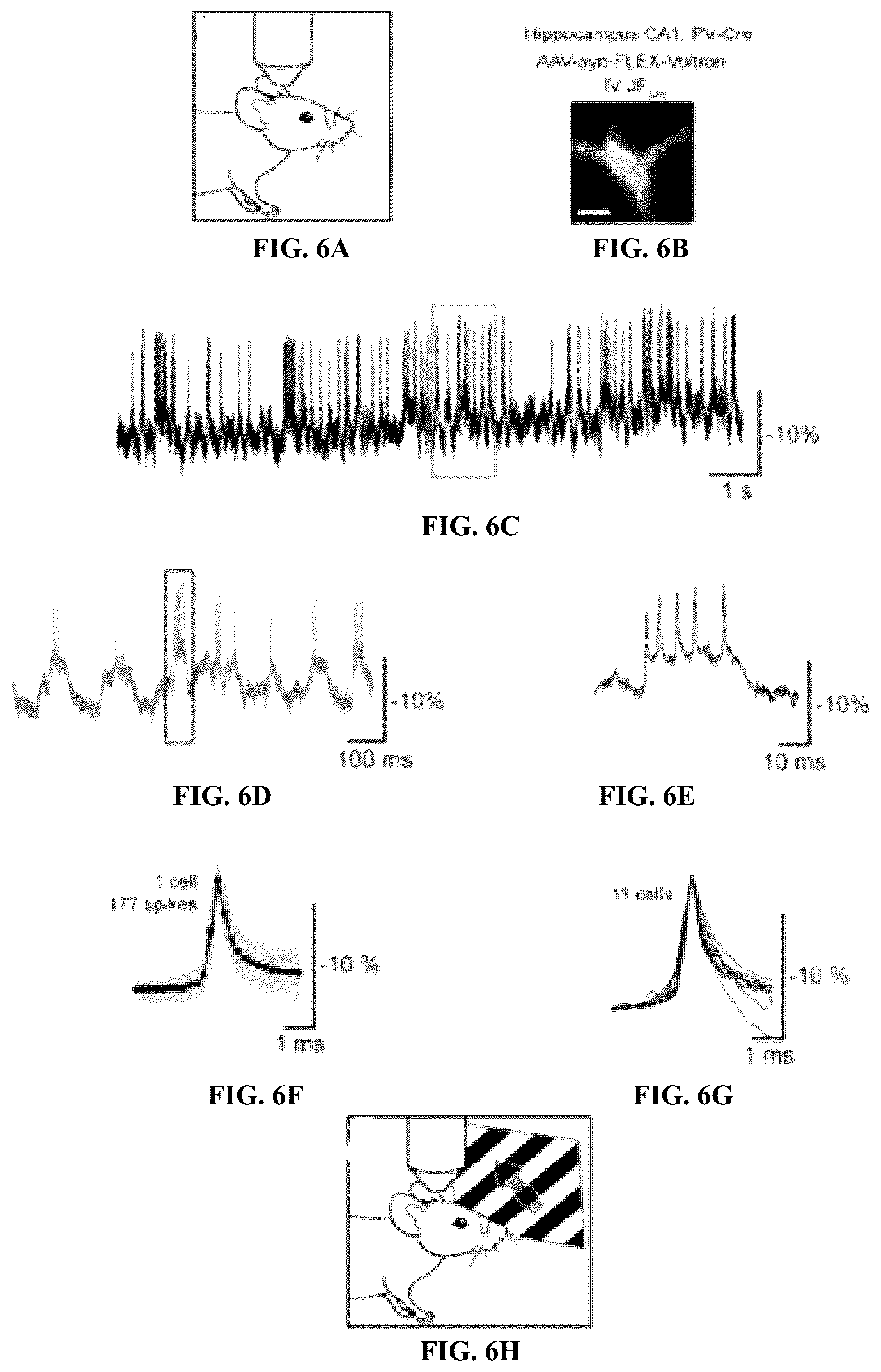 Patent US12105122 Figure 6 – Voltage indicators
