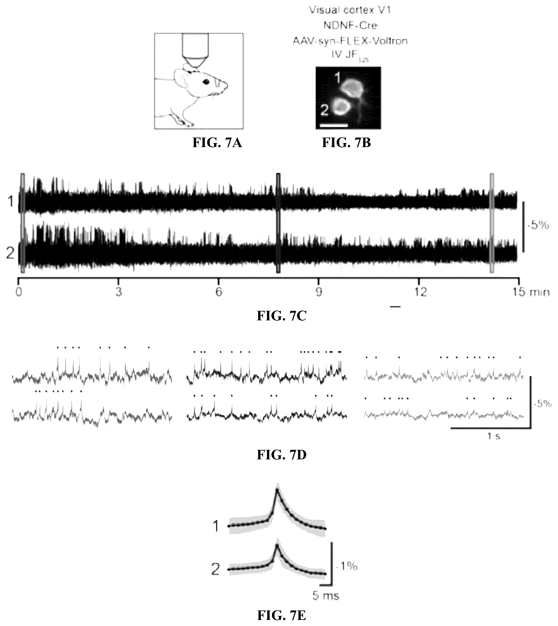 Patent US12105122 Figure 8 – Voltage indicators