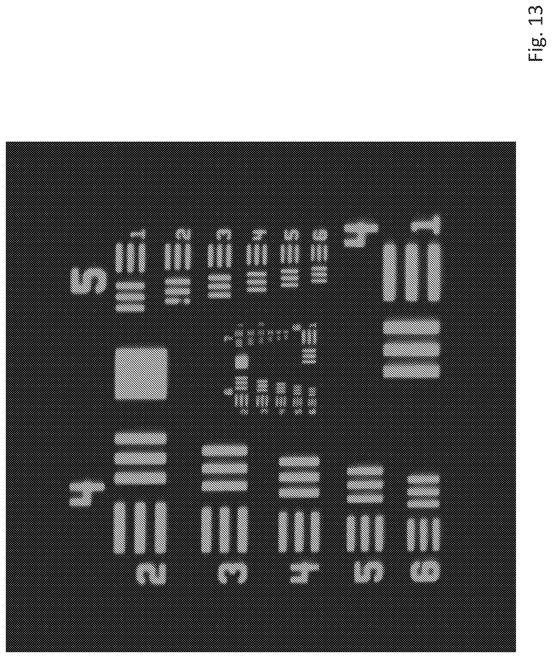 Patent US12105270 Figure 13 – Low numerical aperture lens based oblique plane illumination imaging
