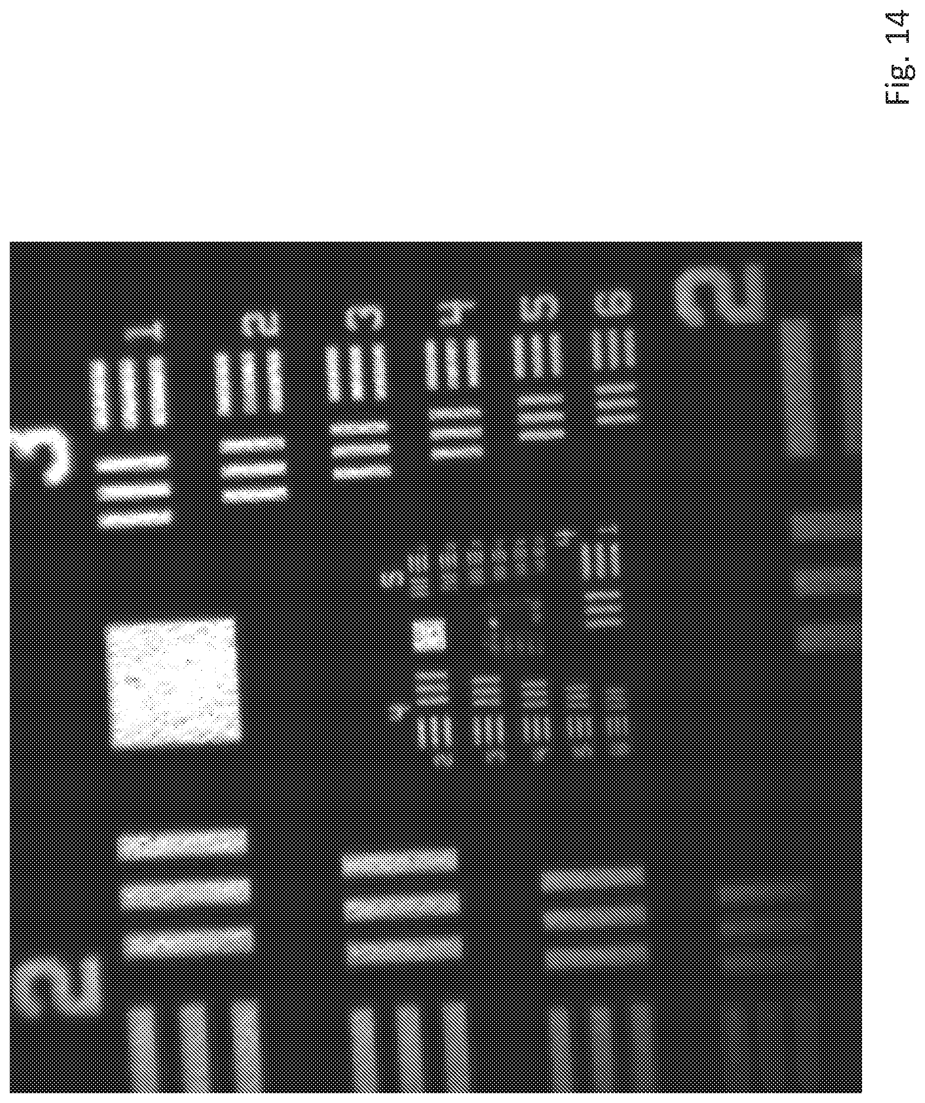 Patent US12105270 Figure 14 – Low numerical aperture lens based oblique plane illumination imaging