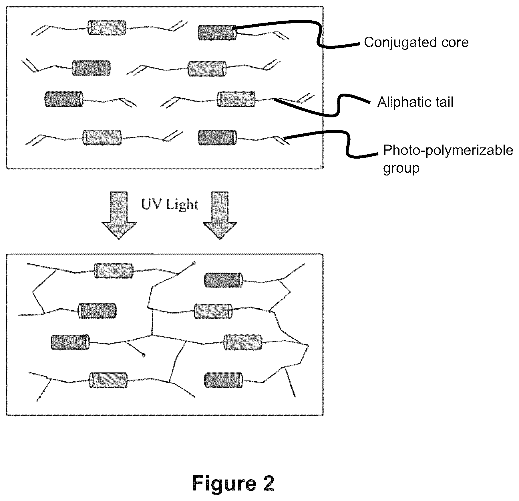 Patent US12105308 Figure 2 – Mesogen polarizer