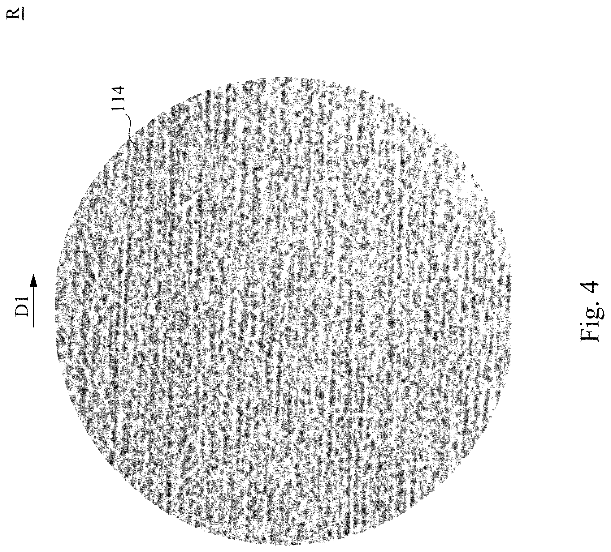 Patent US12105318 Figure 4 – Display device and mounting method of the same