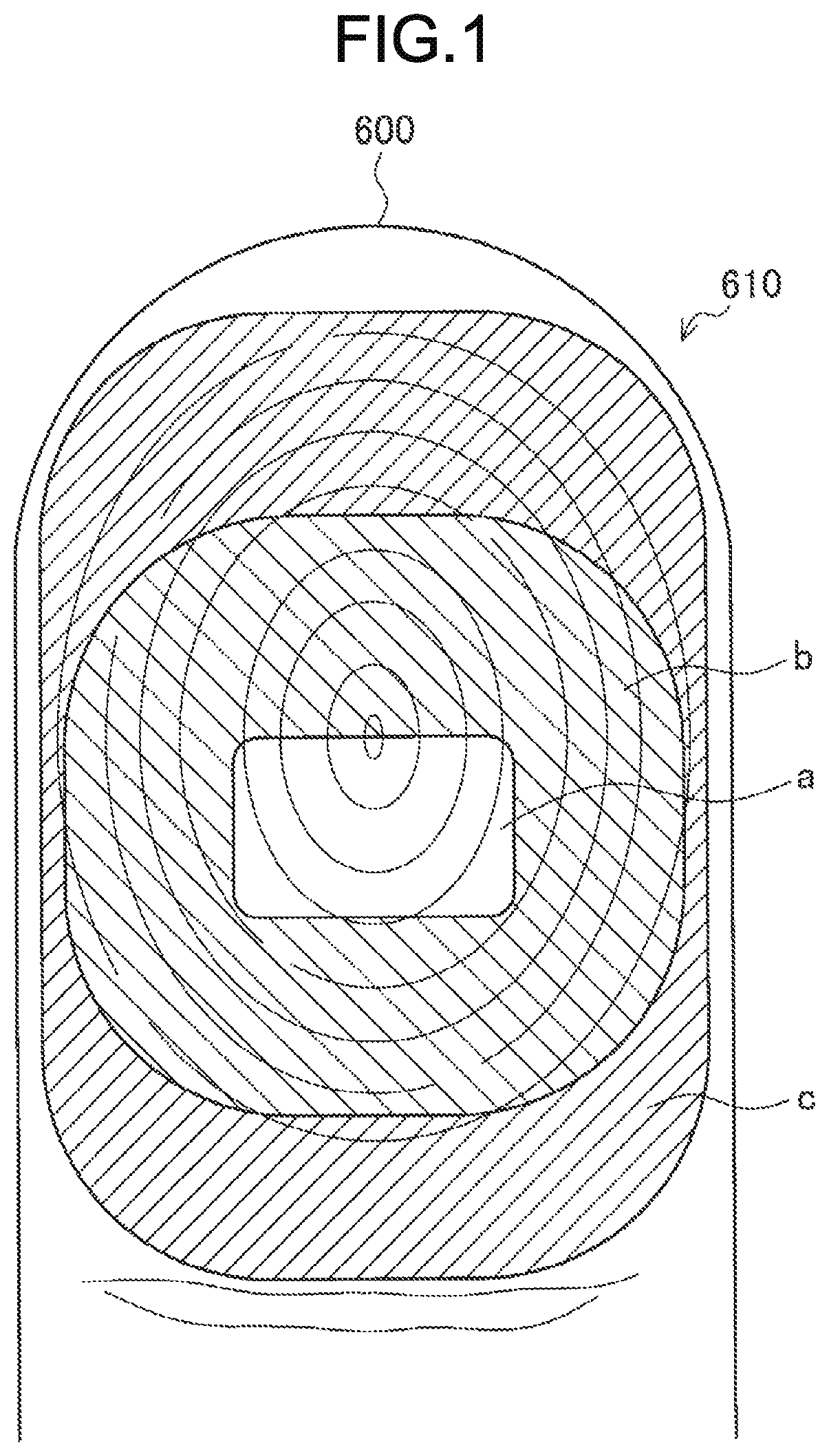 Patent US12105781 Figure 1 – Authentication device and recognition method