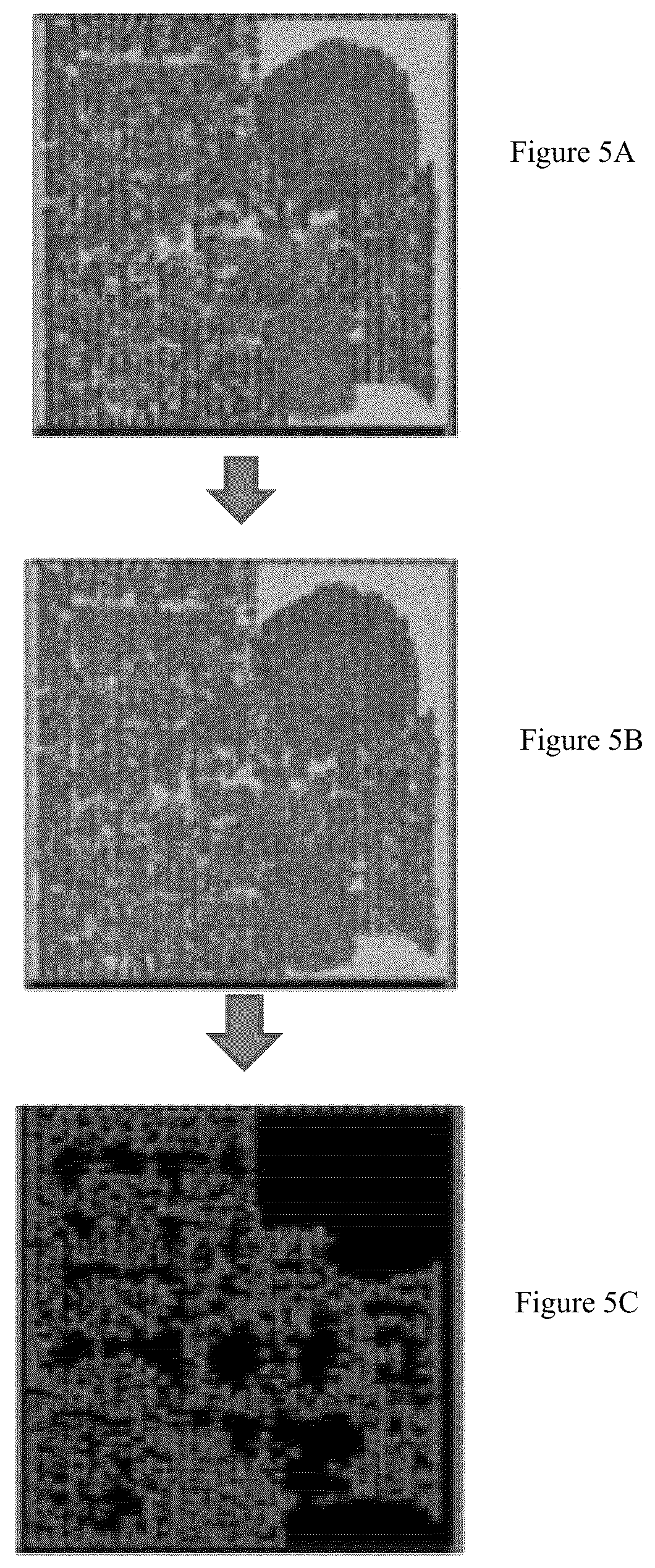 Patent US12105858 Figure 3 – Systems and methods for laser probing for hardware trojan detection