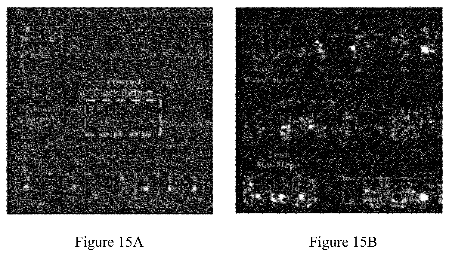 Patent US12105858 Figure 12 – Systems and methods for laser probing for hardware trojan detection