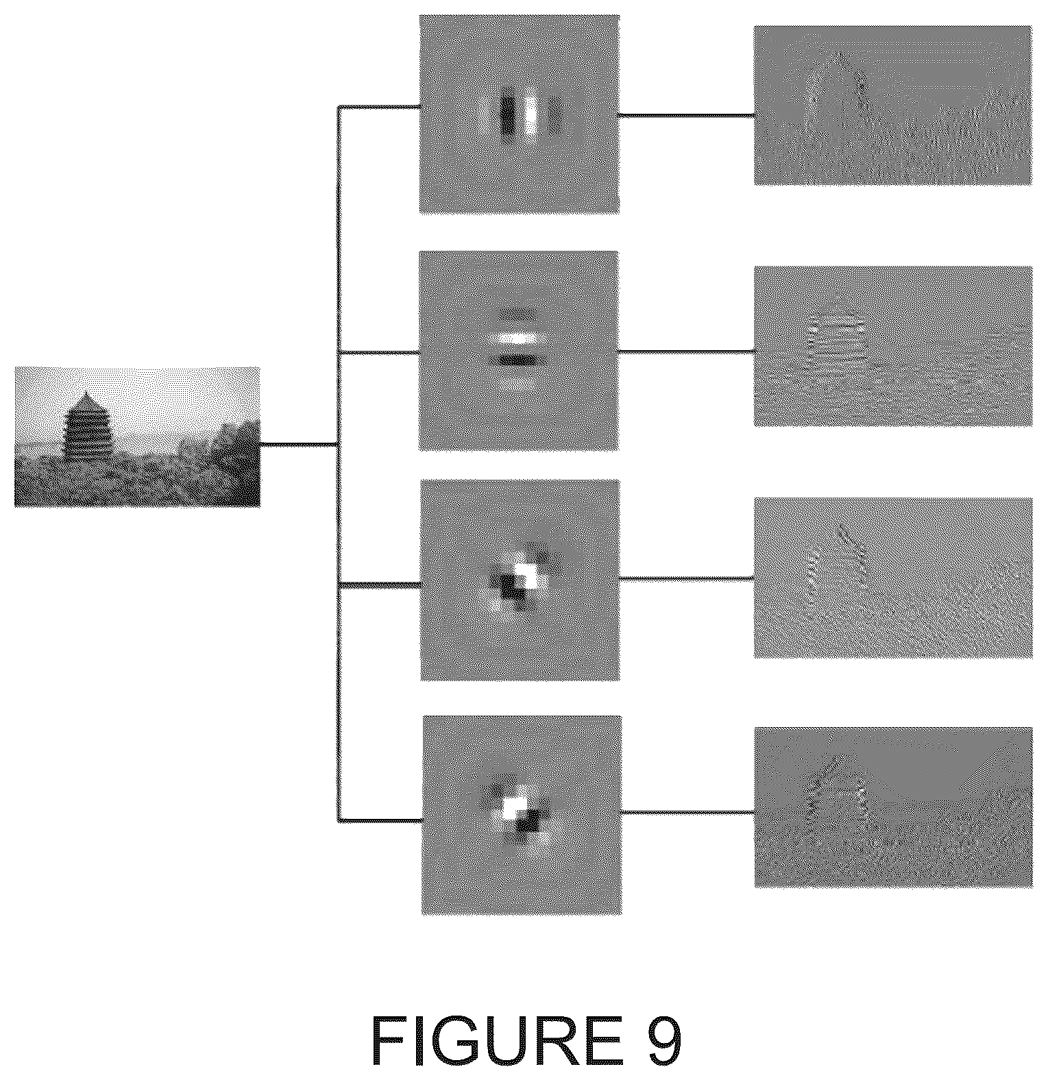 Patent US12105887 Figure 9 – Gesture recognition systems