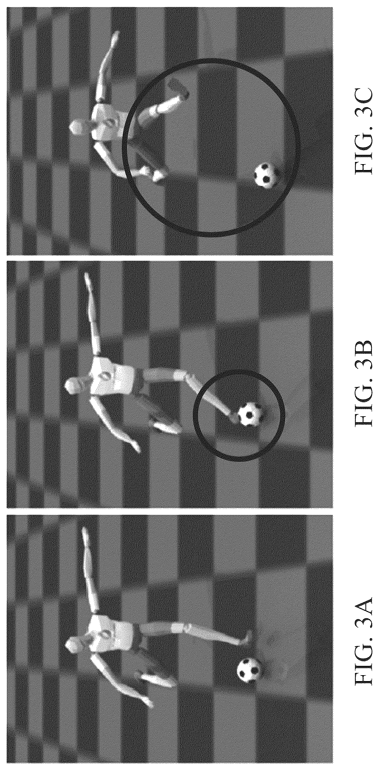 Patent US12106018 Figure 3 – Method and apparatus for generating motion of object
