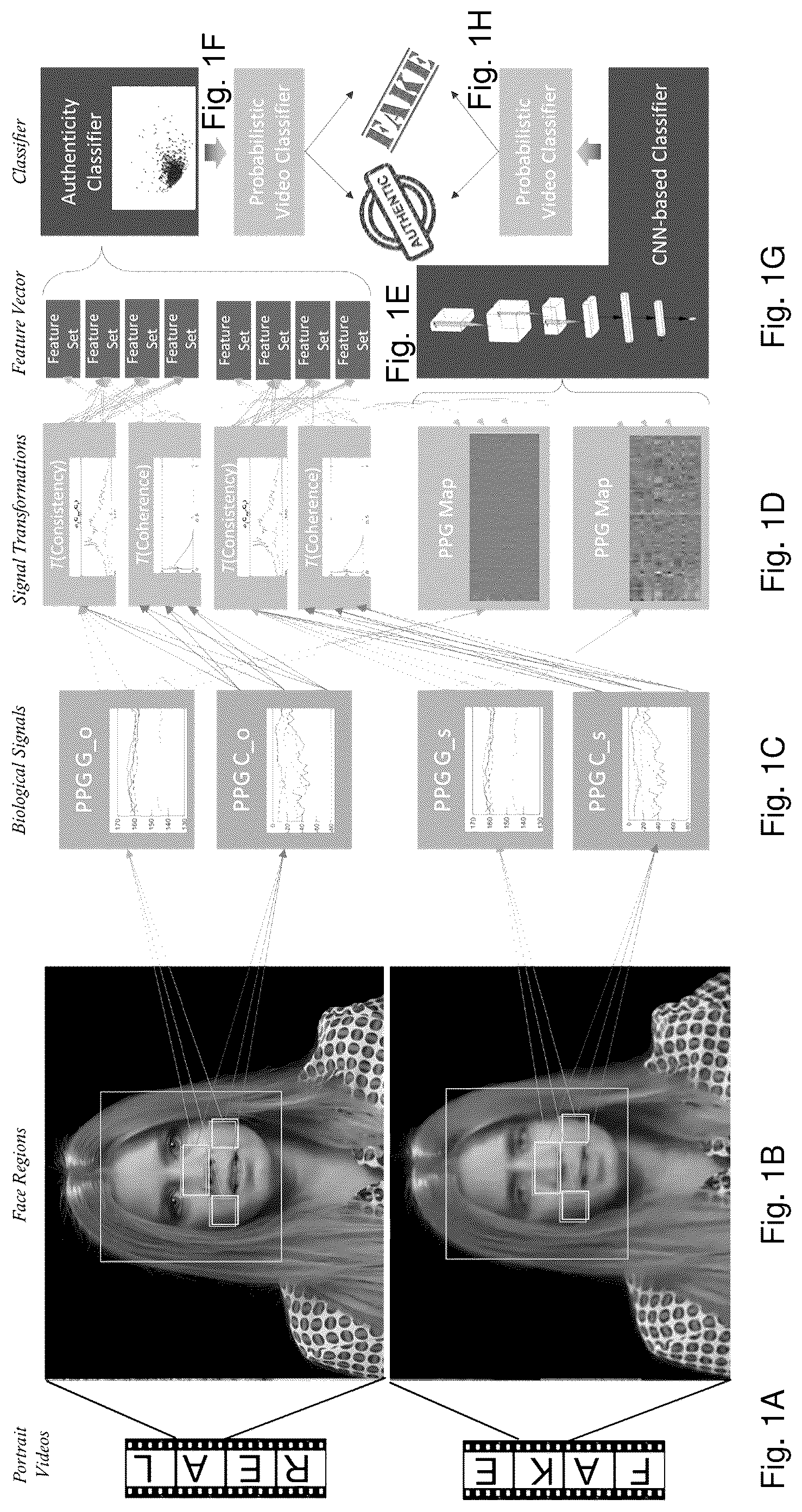 Patent US12106216 Figure 1 – Fakecatcher: detection of synthetic portrait videos using biological signals