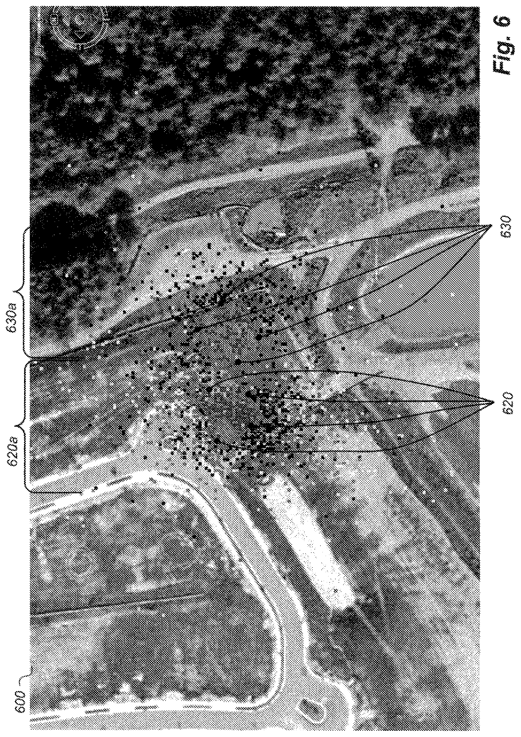 Patent US12106326 Figure 6 – Determining locations of interest based on user visits