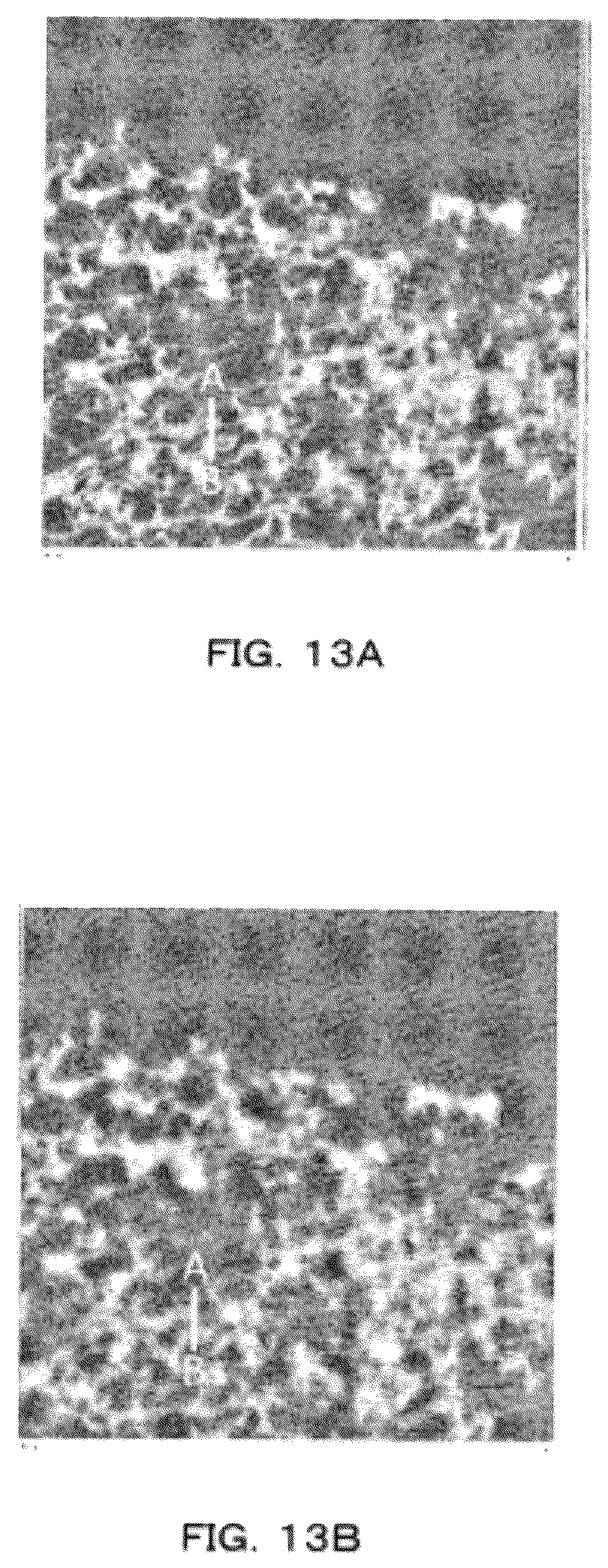 Patent US12106403 Figure 12 – Center shift amount estimating apparatus, method, and program
