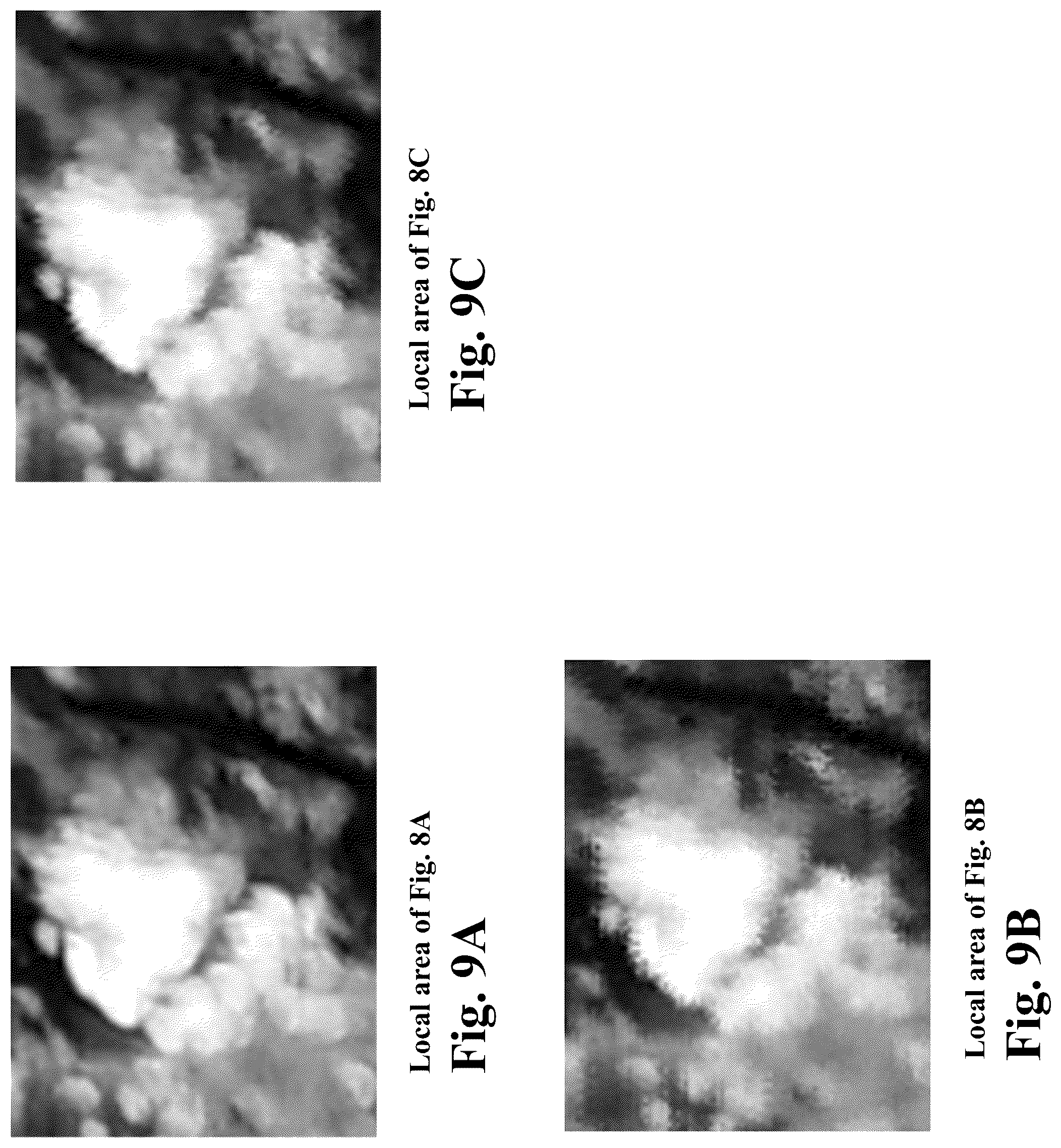 Patent US12106446 Figure 10 – System and method of image stitching using robust camera pose estimation