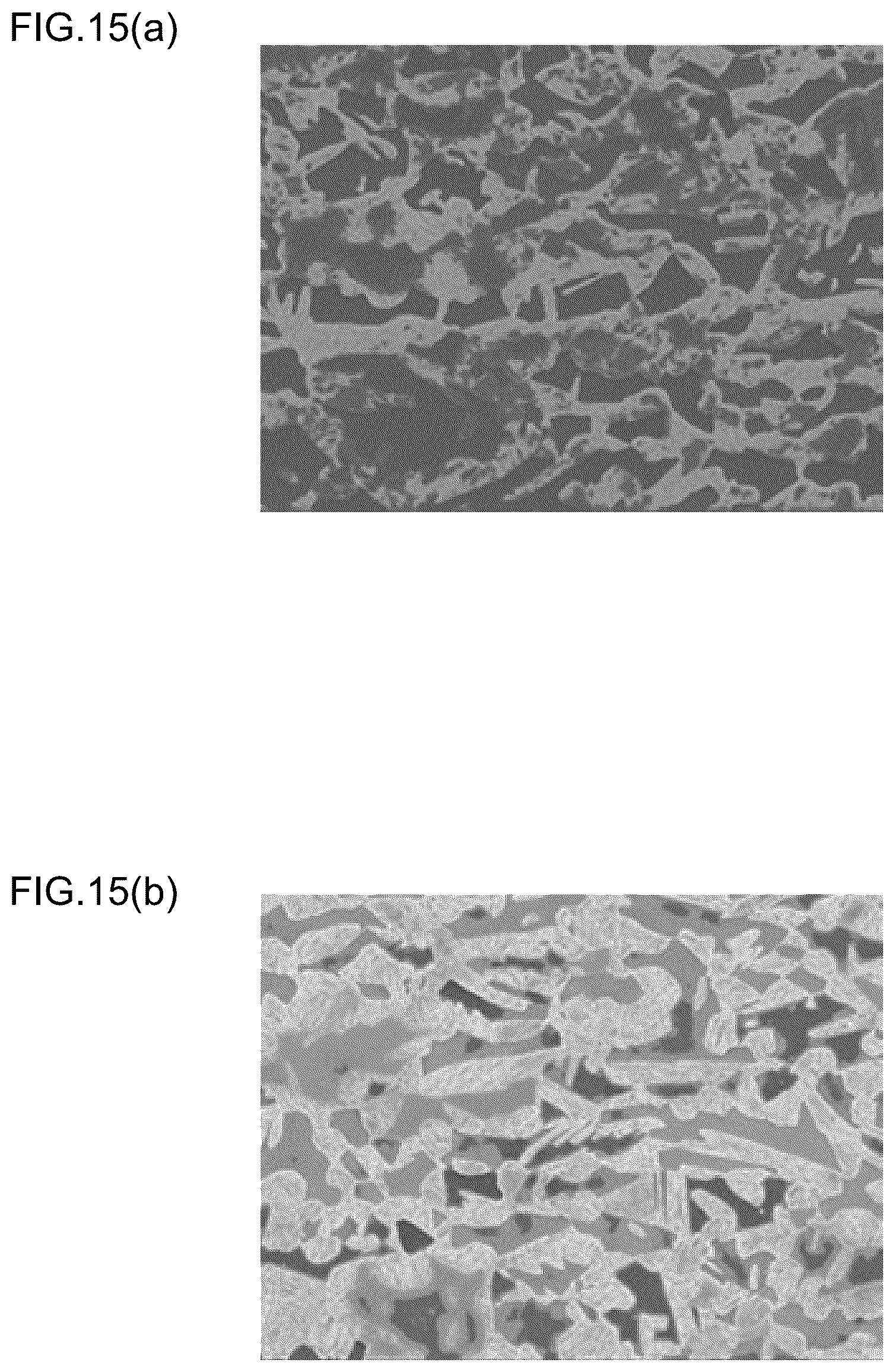 Patent US12106466 Figure 15 – Photographing condition determining method for metal structure, photographing method for metal structure, phase classification method for metal structure, photographing condition determining device for metal structure, photographing device for metal structure, phase classification device for metal structure, material property estimating method for metal material, and material property estimating device for metal material