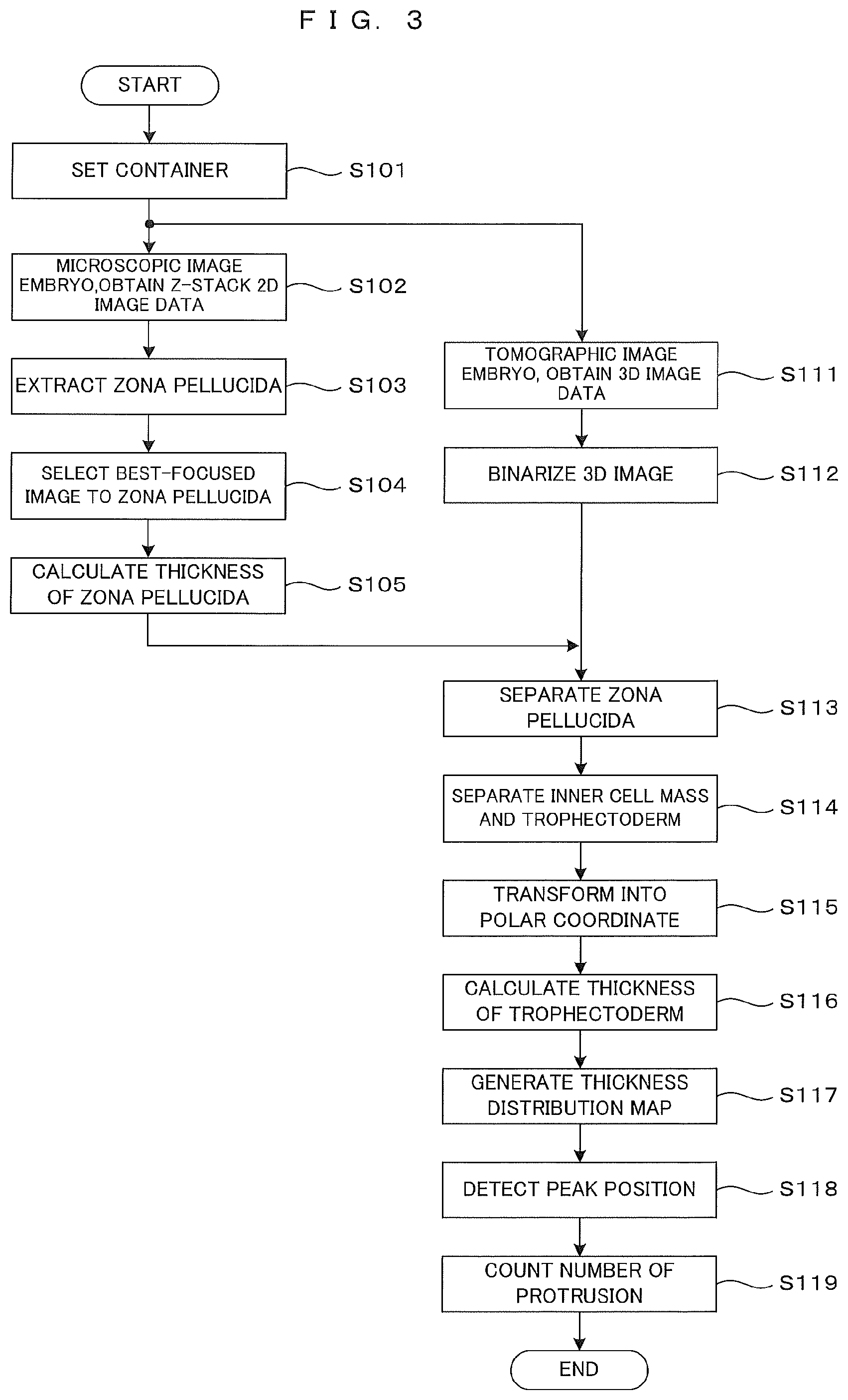 Patent US12106471 Figure 3 – Image processing method for imaging a cell aggregate and recording medium therefor