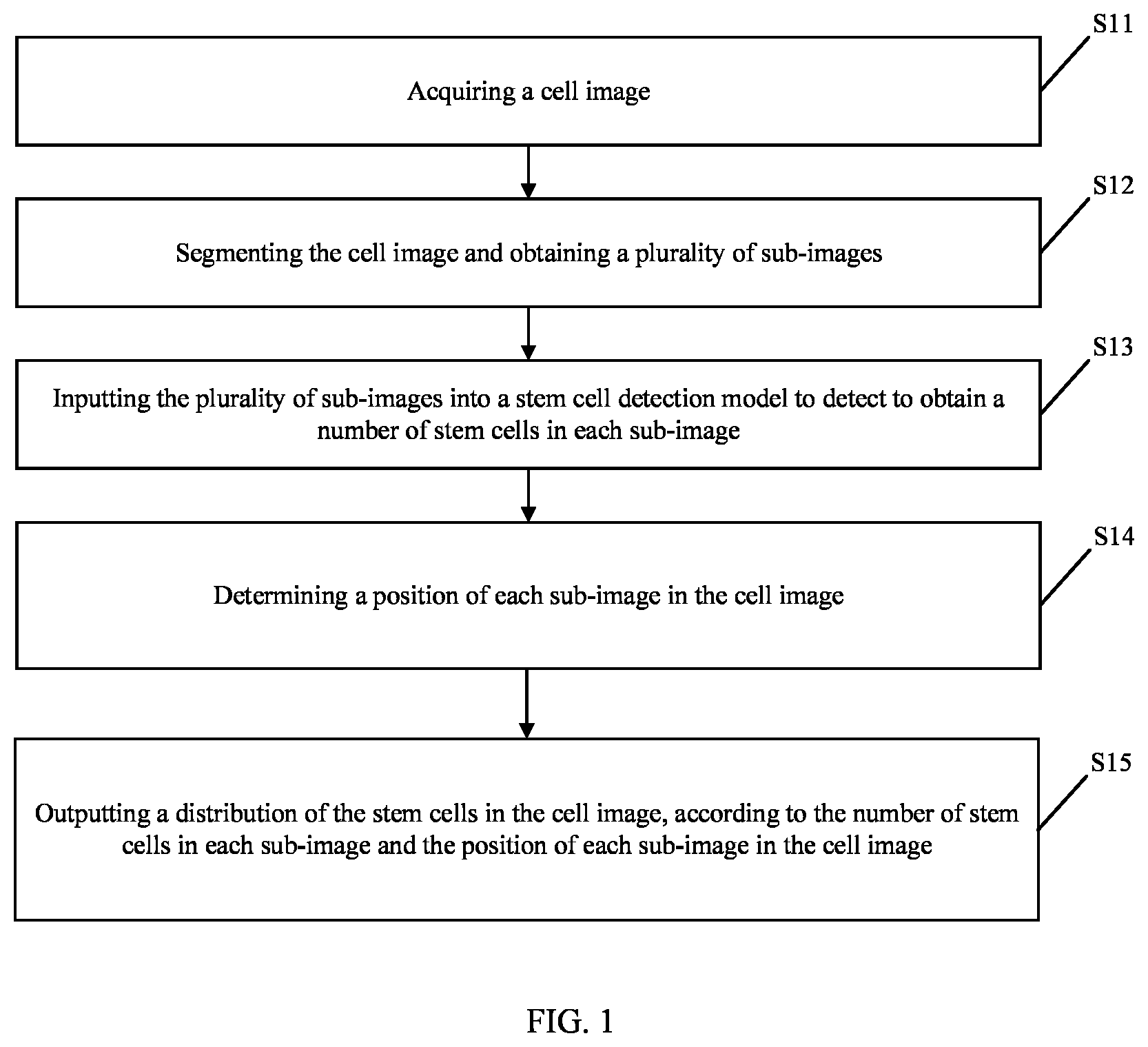 Patent US12106474 — Method of determining a distribution of stem cells in a cell image, electronic device, and storage medium — Figure 1