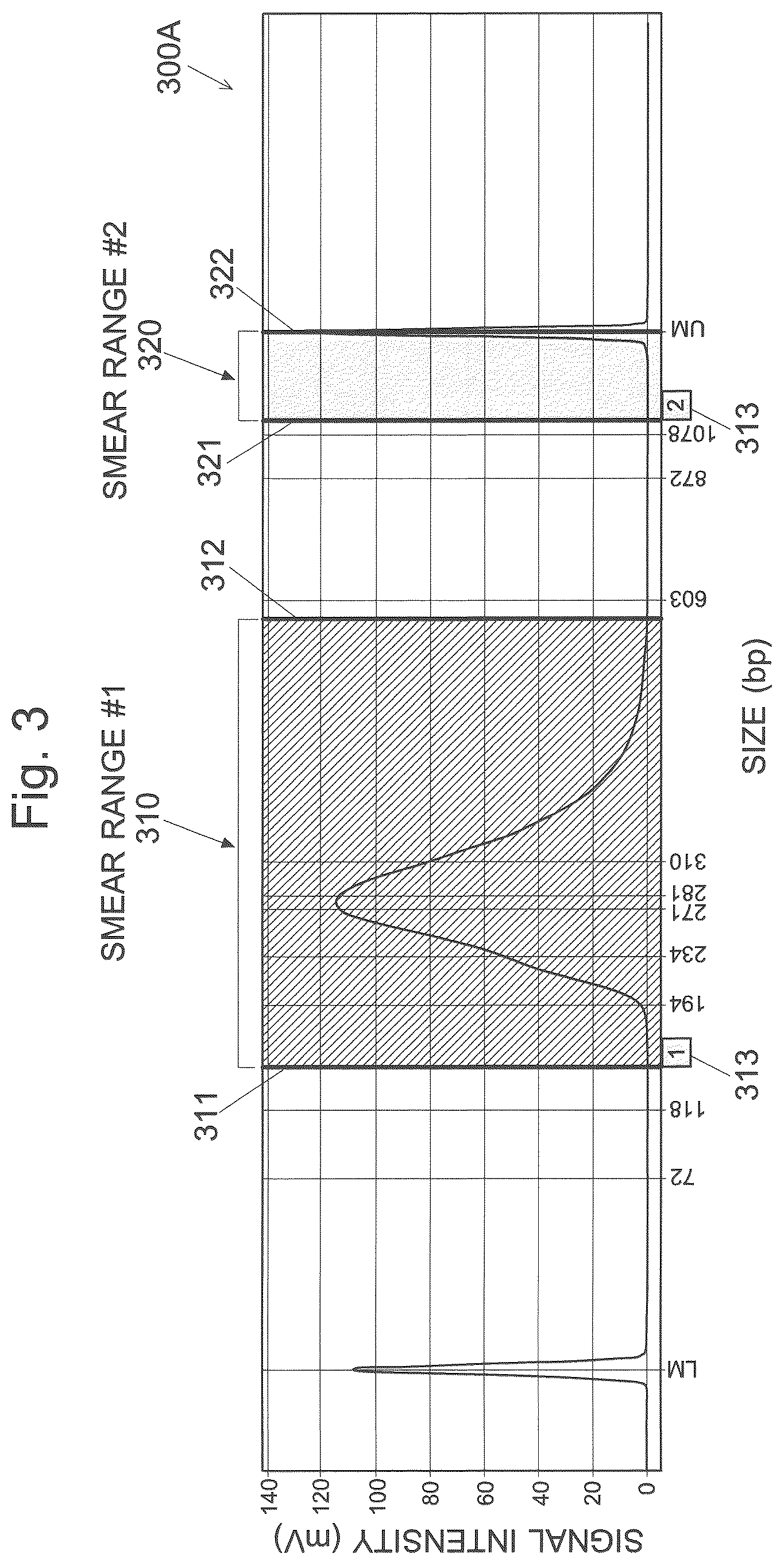 Patent US12106475 Figure 3 – Electrophoretic analysis data processing device and record medium recording electrophoretic analysis data processing program