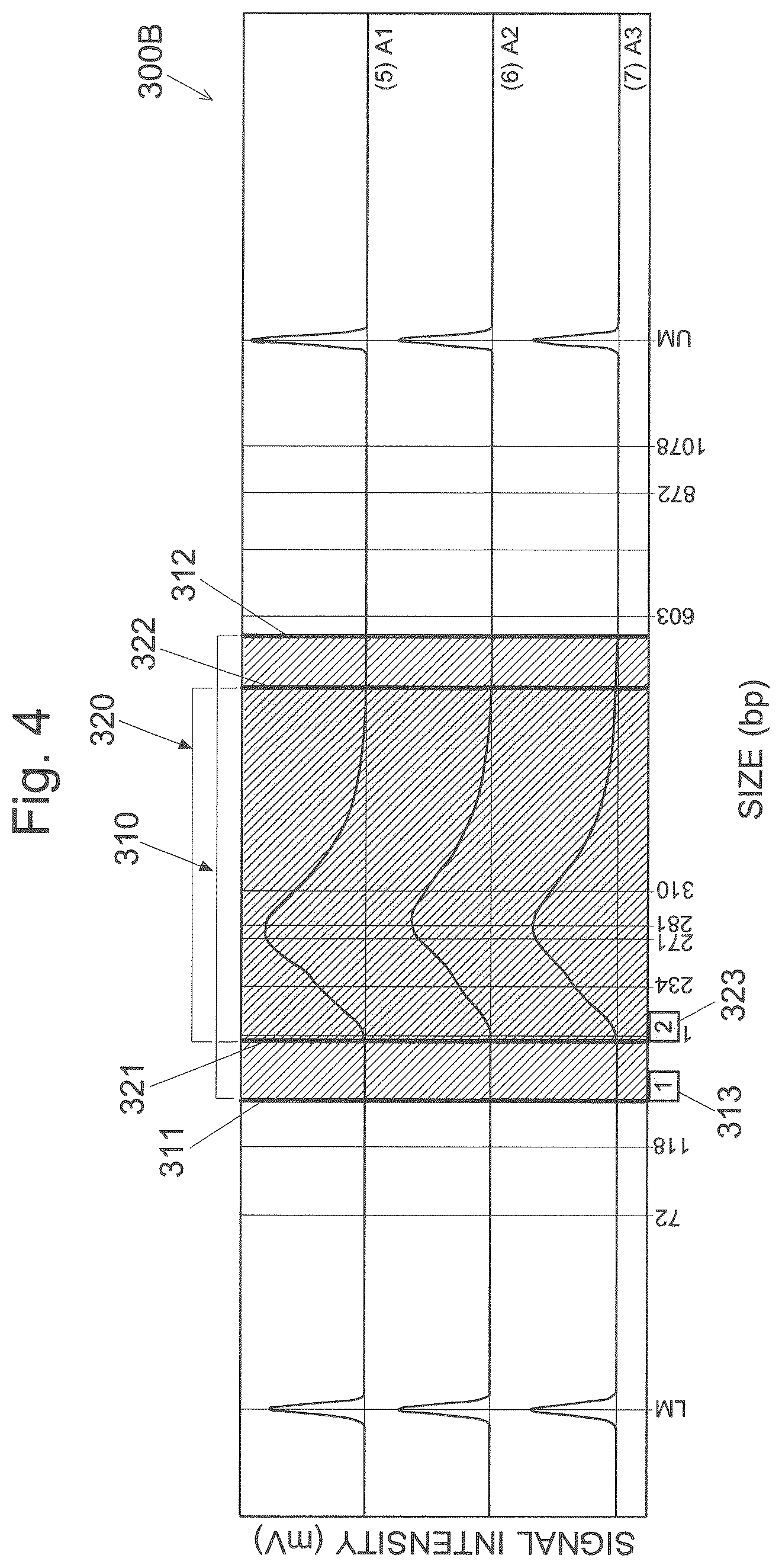 Patent US12106475 Figure 4 – Electrophoretic analysis data processing device and record medium recording electrophoretic analysis data processing program