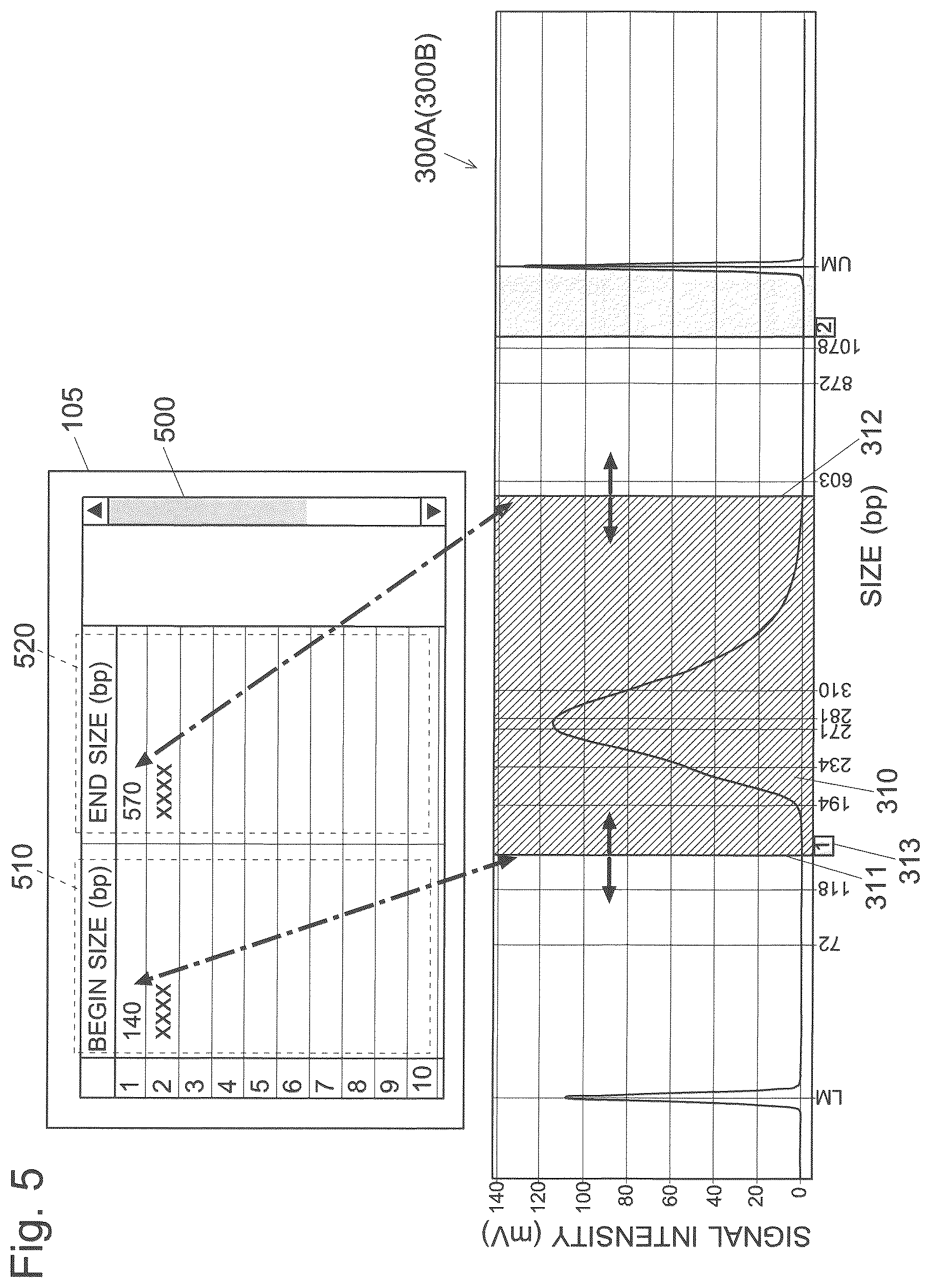 Patent US12106475 Figure 5 – Electrophoretic analysis data processing device and record medium recording electrophoretic analysis data processing program