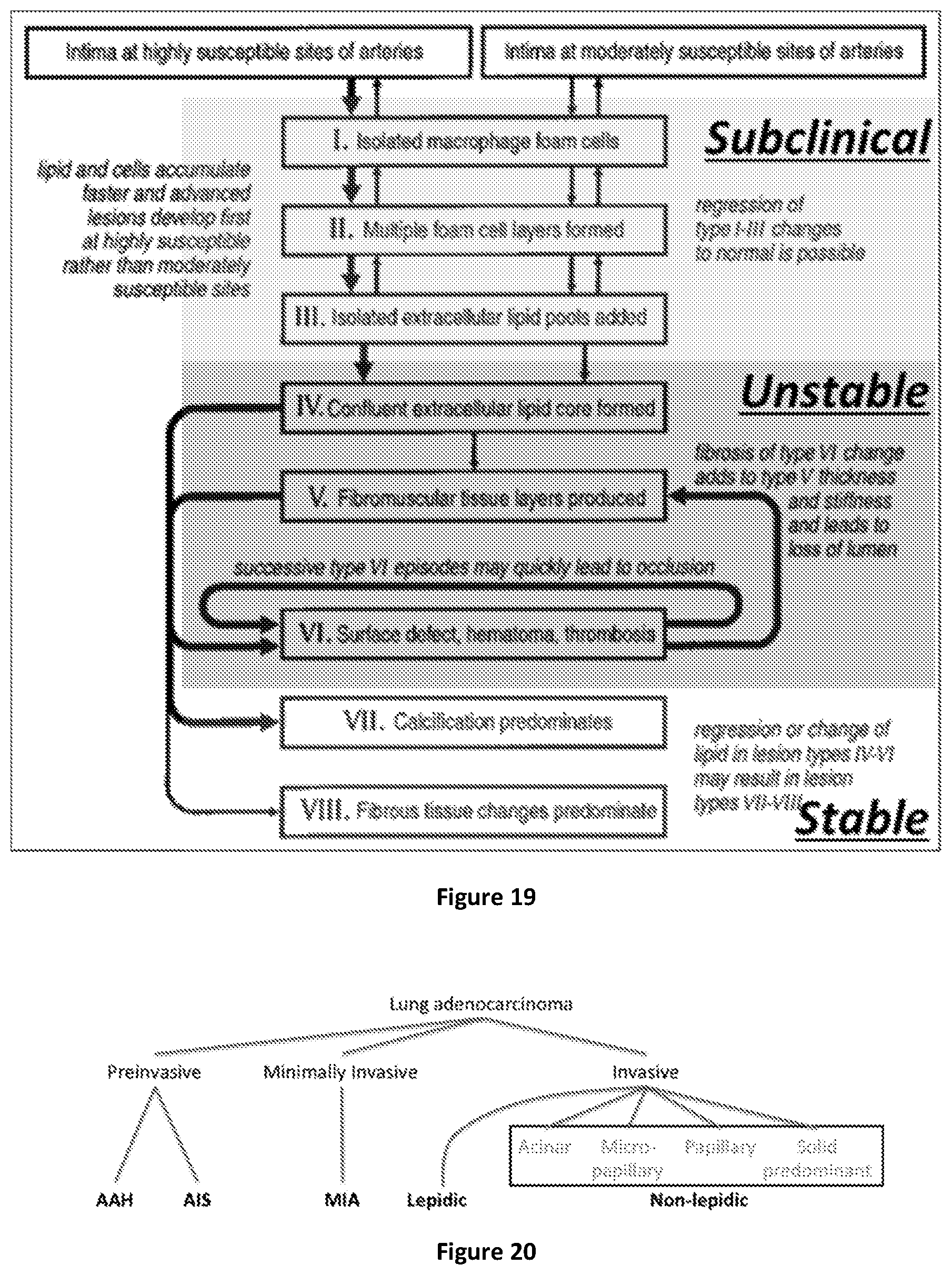 Patent US12106477 Figure 12 – Segmenting permeability, neovascularization, necrosis, collagen breakdown, or inflammation to characterize atherosclerotic plaque, coronary artery disease, or vasculopathy