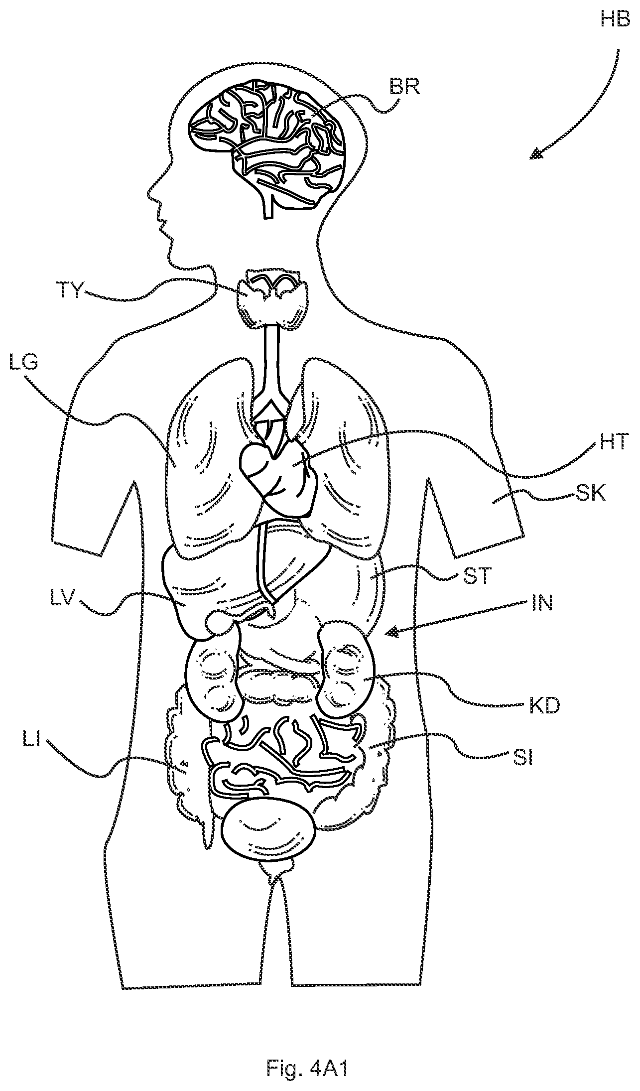 Patent US12106501 Figure 4 – Subsurface imaging and display of 3D digital image and 3D image sequence