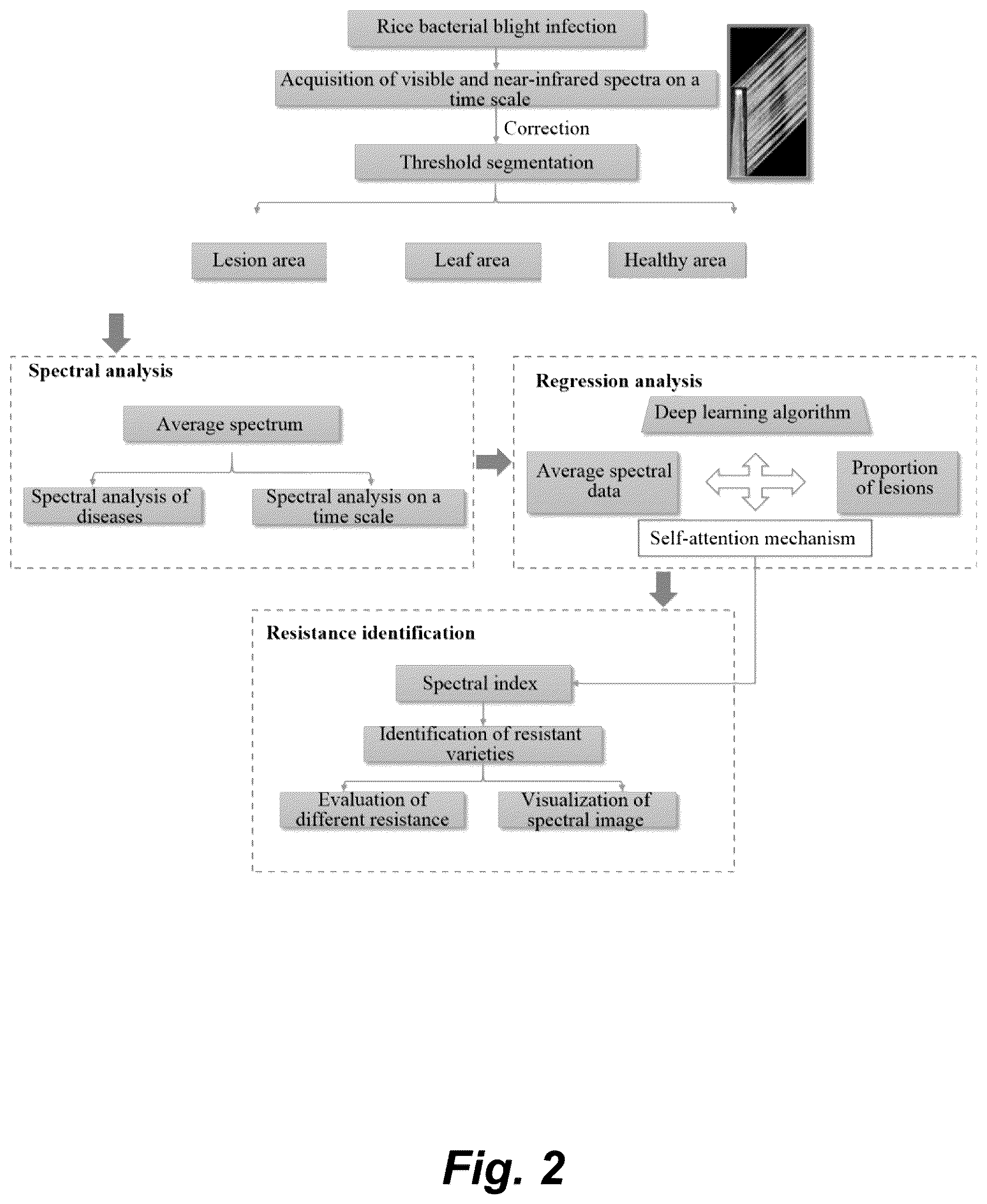 Patent US12106547 Figure 2 – Method and system for screening spectral indexes of rice resistant to bacterial blight
