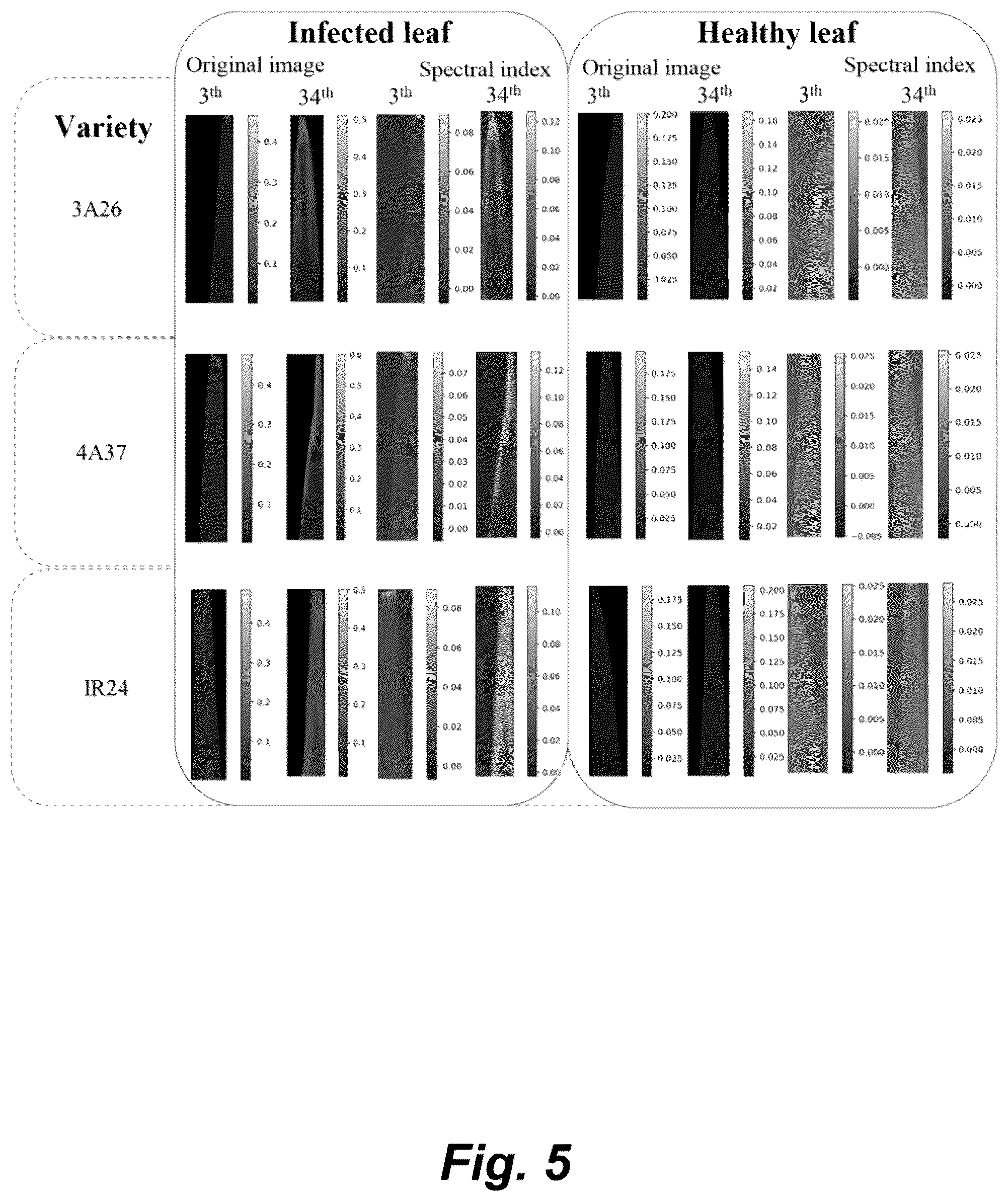 Patent US12106547 Figure 5 – Method and system for screening spectral indexes of rice resistant to bacterial blight