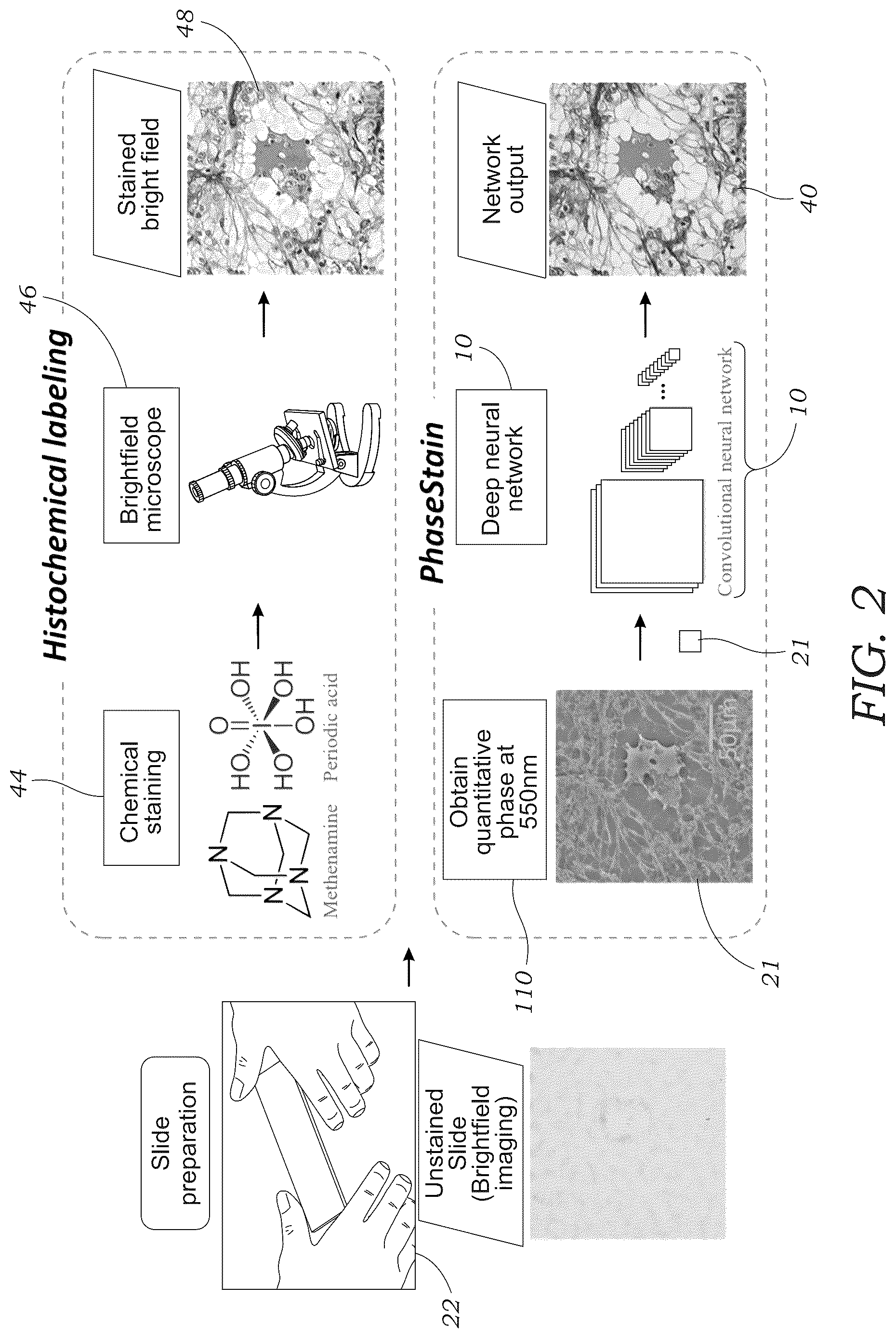 Patent US12106552 Figure 2 – Method and system for digital staining of label-free phase images using deep learning