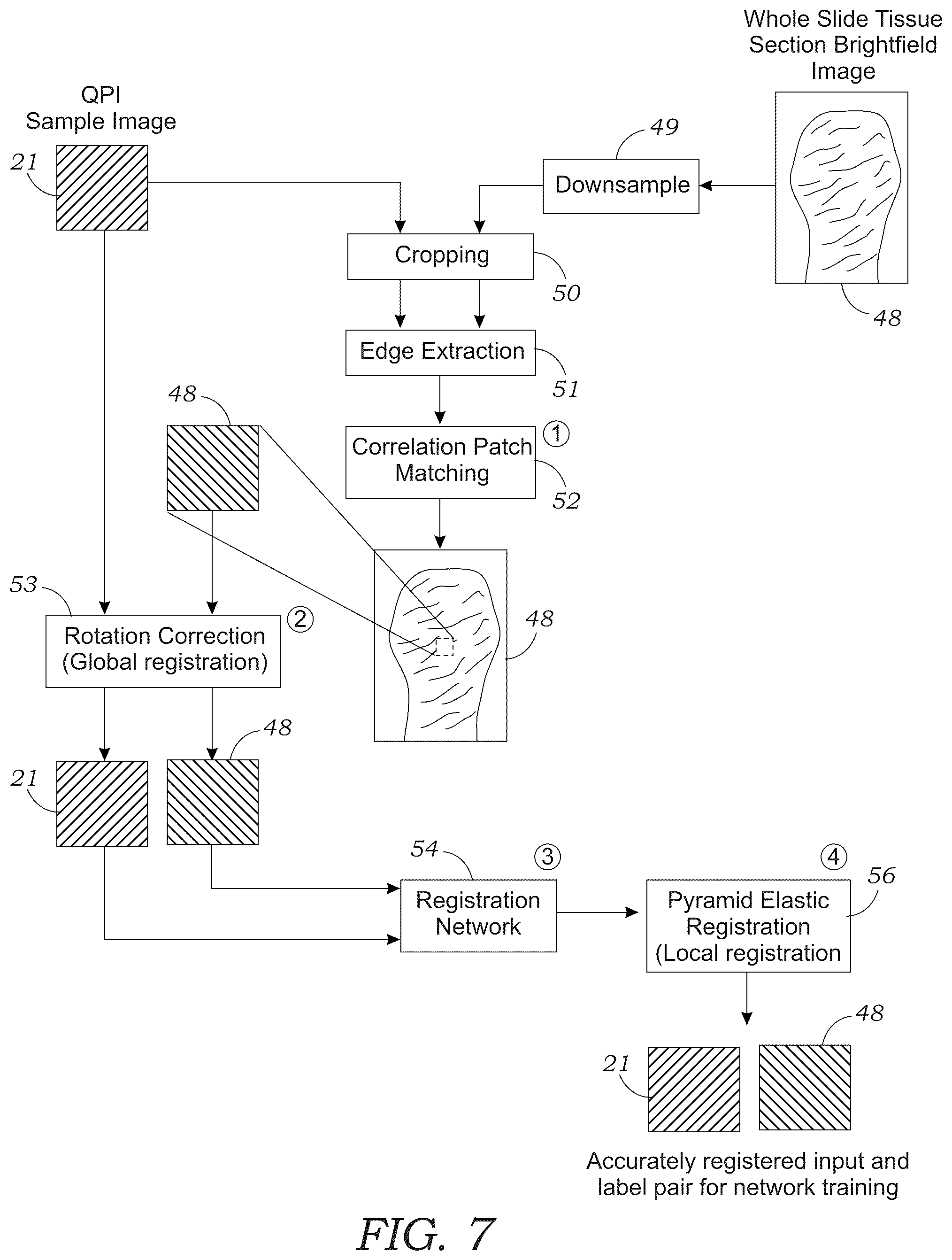Patent US12106552 Figure 8 – Method and system for digital staining of label-free phase images using deep learning