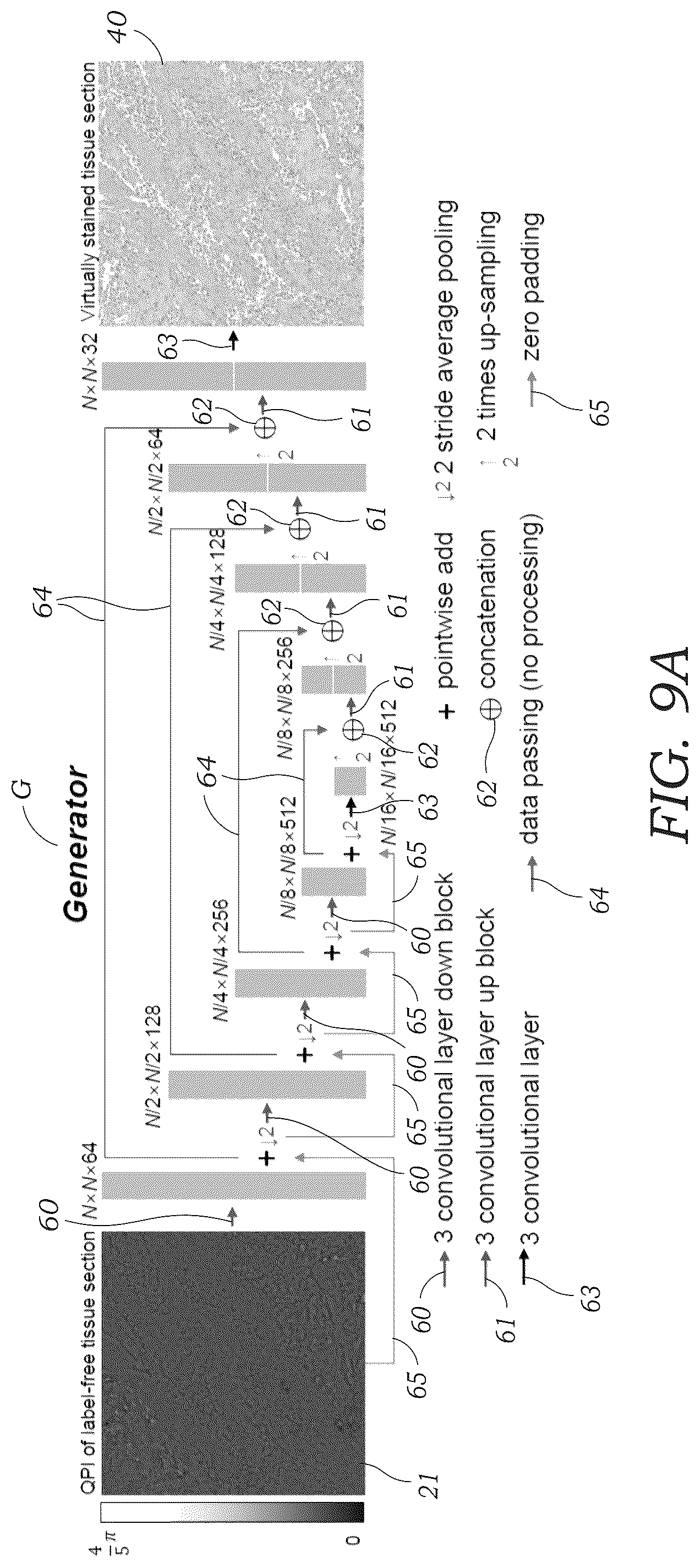 Patent US12106552 Figure 10 – Method and system for digital staining of label-free phase images using deep learning