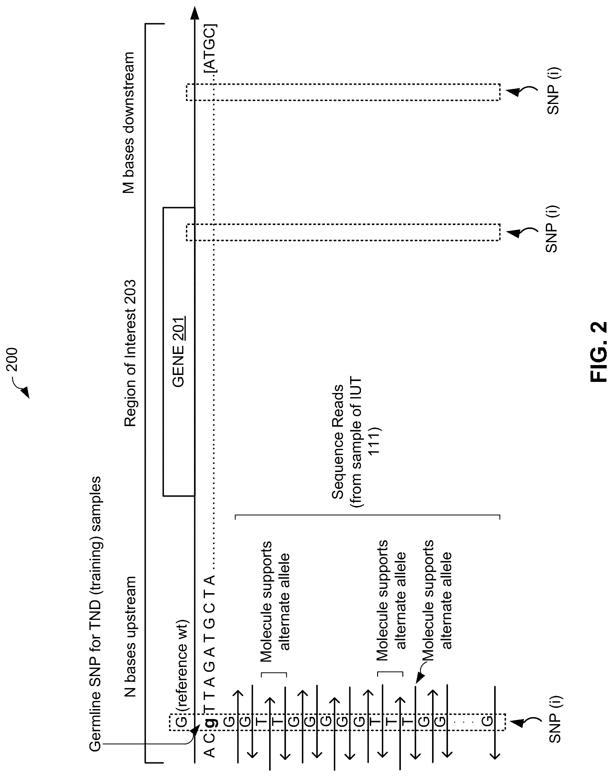 Patent US12106825 Figure 2 – Computational modeling of loss of function based on allelic frequency