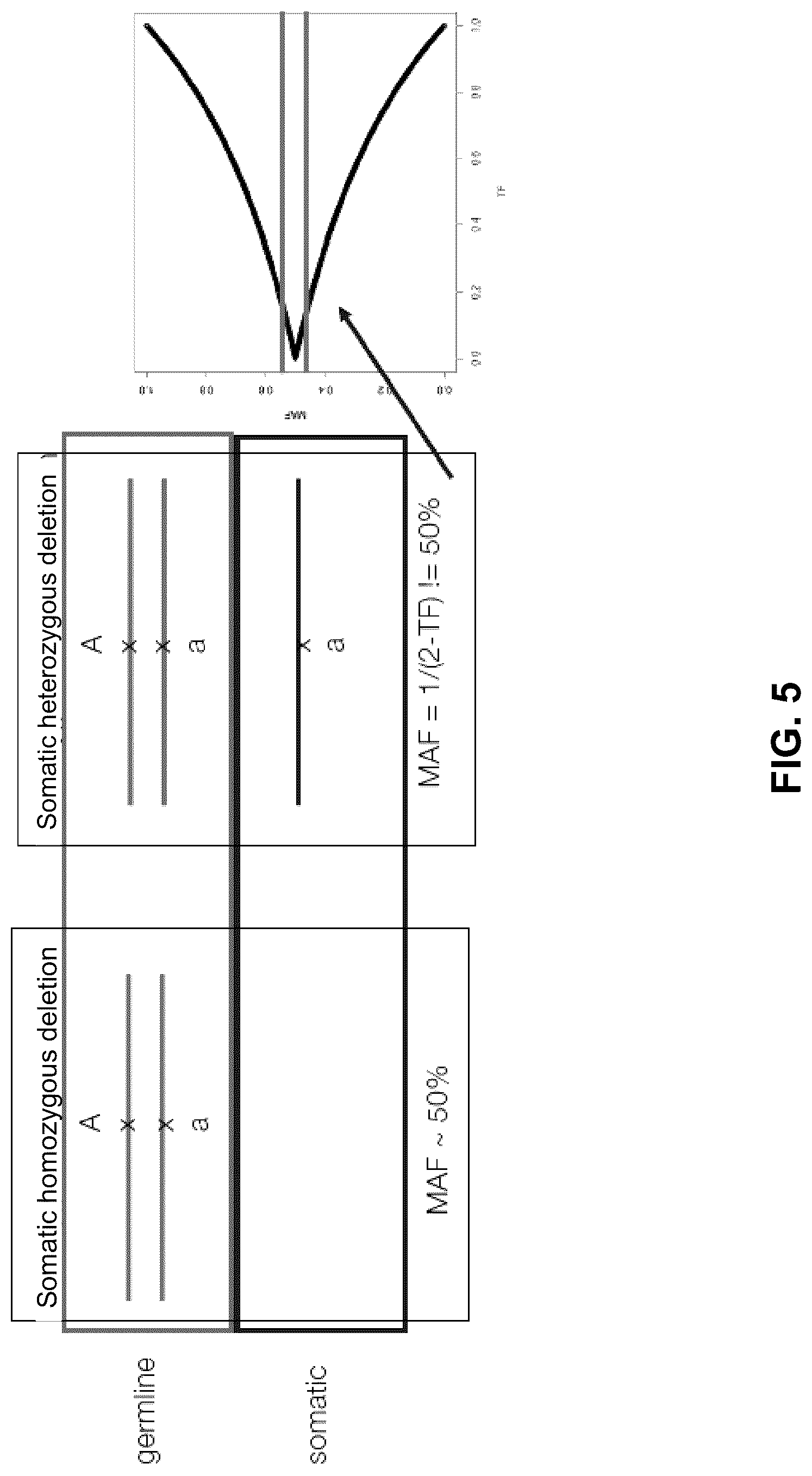 Patent US12106825 Figure 5 – Computational modeling of loss of function based on allelic frequency