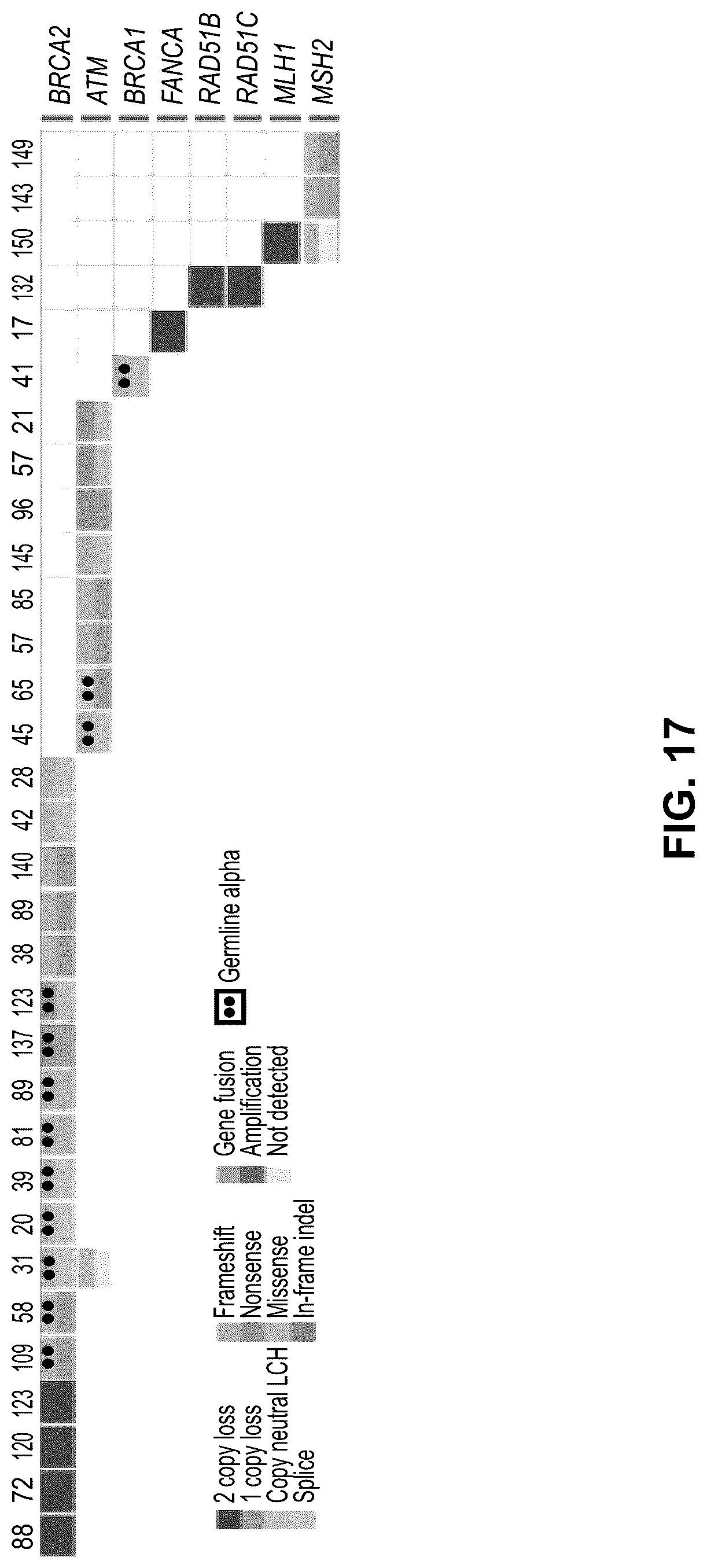 Patent US12106825 Figure 17 – Computational modeling of loss of function based on allelic frequency