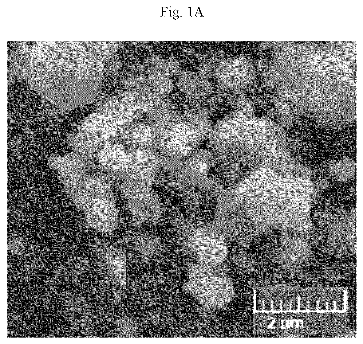 Patent US12106902 Figure 1 – Vanadium doped nanocomposite electrode and method of making