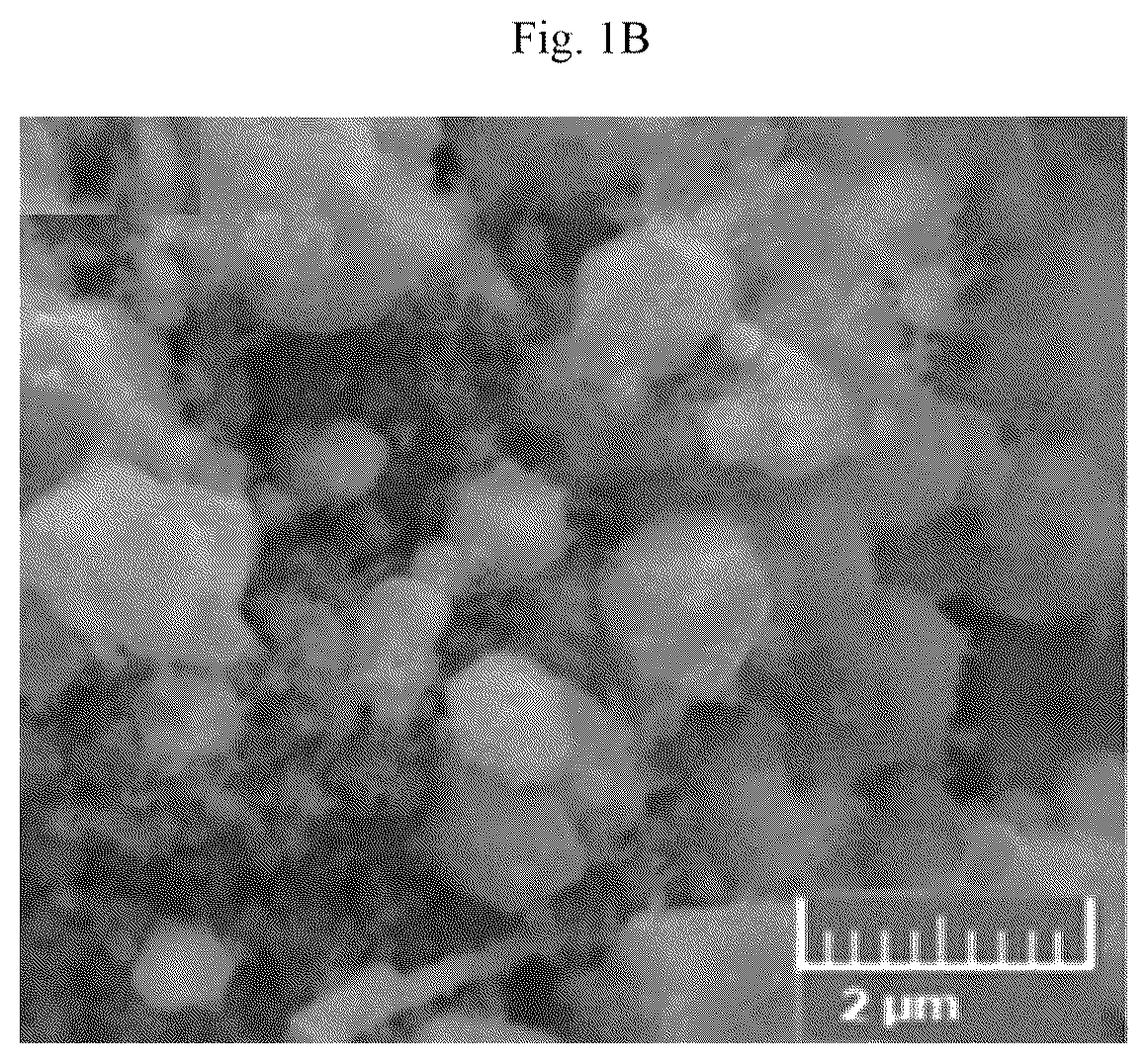 Patent US12106902 Figure 2 – Vanadium doped nanocomposite electrode and method of making