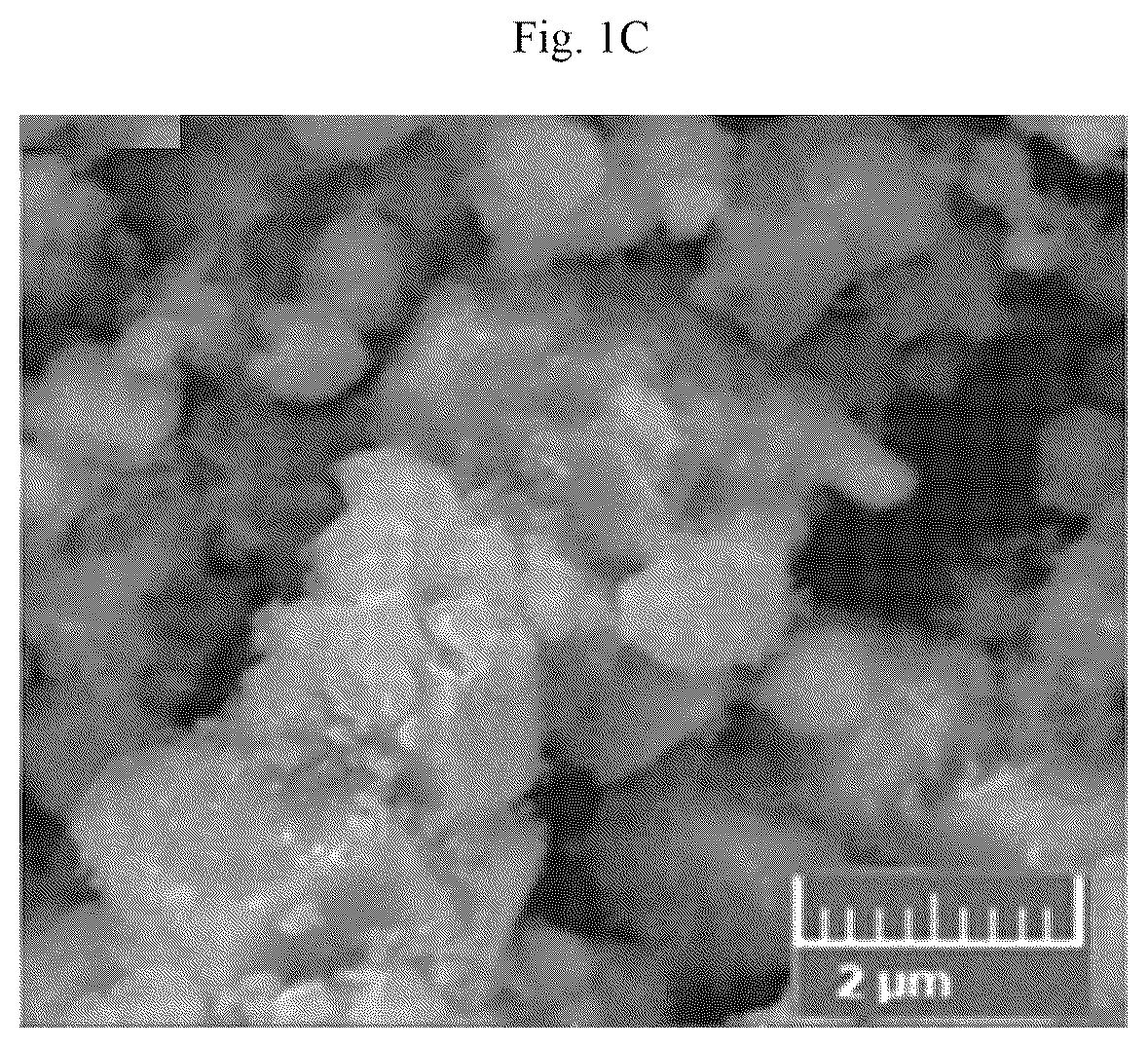 Patent US12106902 Figure 3 – Vanadium doped nanocomposite electrode and method of making