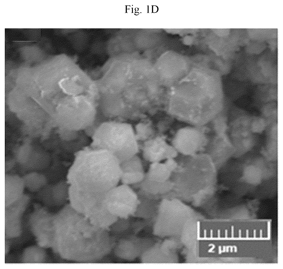 Patent US12106902 Figure 4 – Vanadium doped nanocomposite electrode and method of making