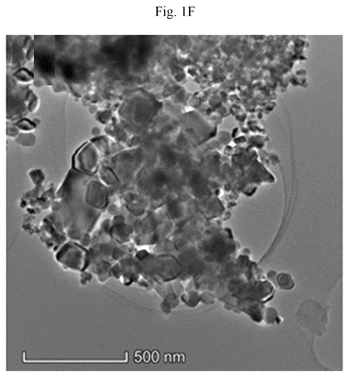 Patent US12106902 Figure 6 – Vanadium doped nanocomposite electrode and method of making