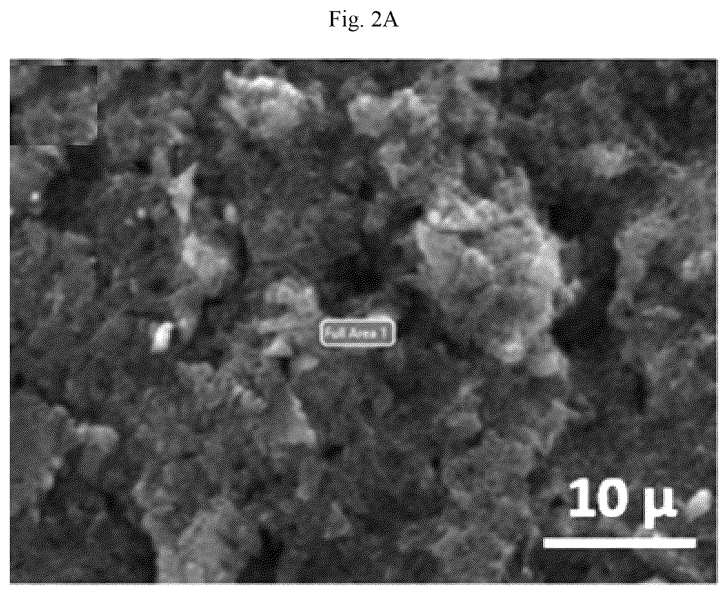 Patent US12106902 Figure 9 – Vanadium doped nanocomposite electrode and method of making