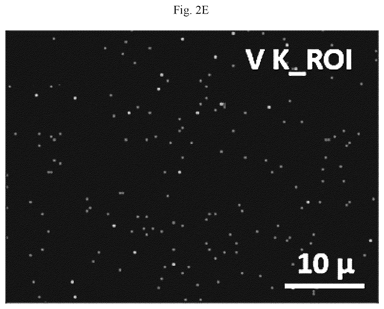 Patent US12106902 Figure 13 – Vanadium doped nanocomposite electrode and method of making