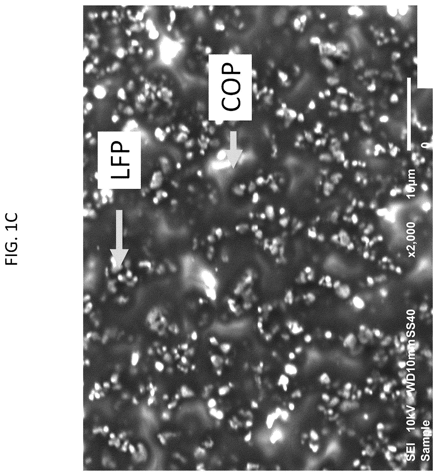 Patent US12107211 Figure 2 – Electrochemical cells including selectively permeable membrane and semi-solid electrodes, and method of manufacturing the same
