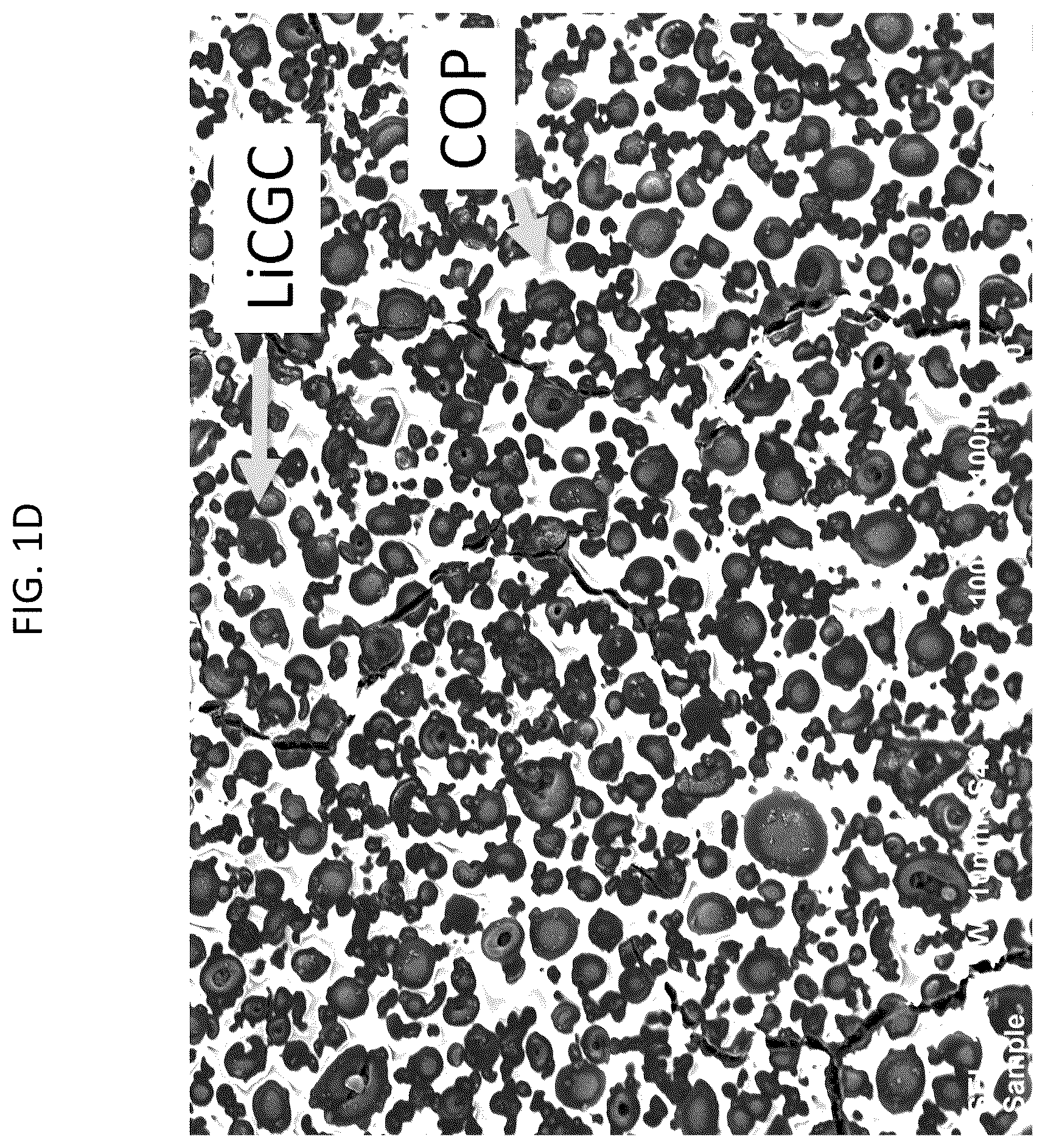 Patent US12107211 Figure 3 – Electrochemical cells including selectively permeable membrane and semi-solid electrodes, and method of manufacturing the same