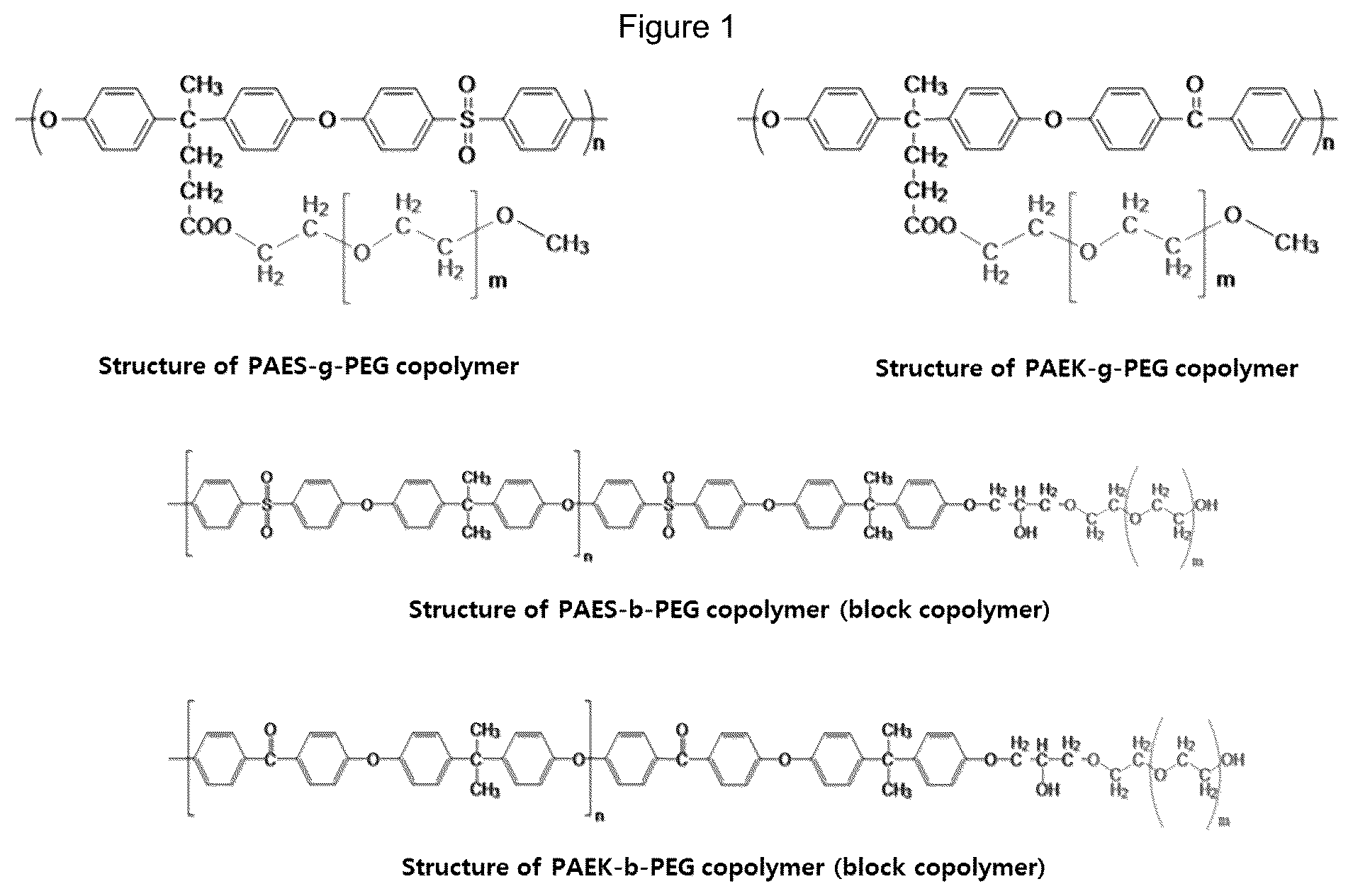 Patent US12107217 — Electrolyte membrane for lithium secondary battery and membrane-electrode structure for lithium secondary battery having the same — Figure 1