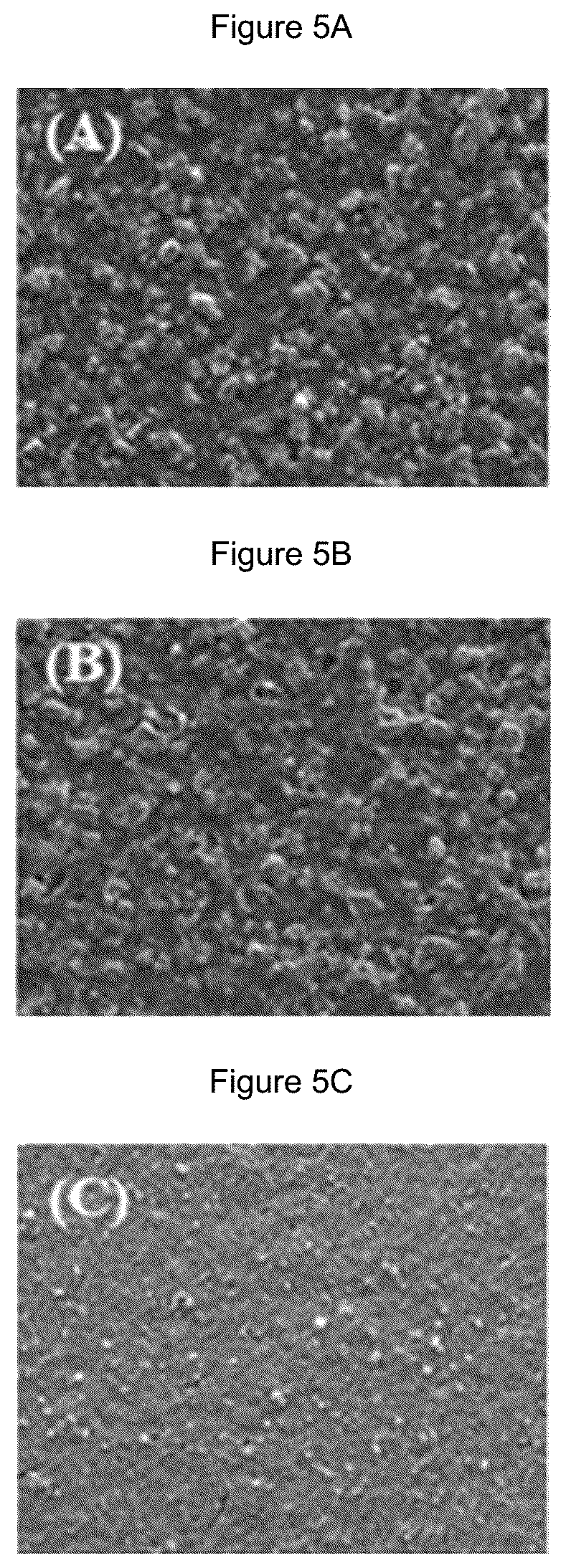 Patent US12107217 Figure 6 – Electrolyte membrane for lithium secondary battery and membrane-electrode structure for lithium secondary battery having the same