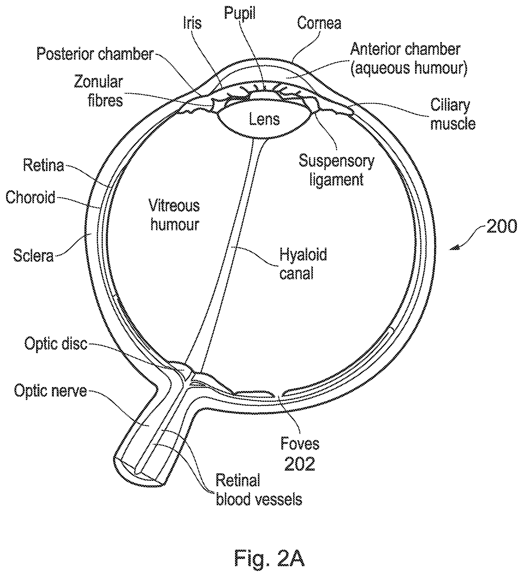 Patent US12108015 Figure 2 – 2D digital image capture system, frame speed, and simulating 3D digital image sequence