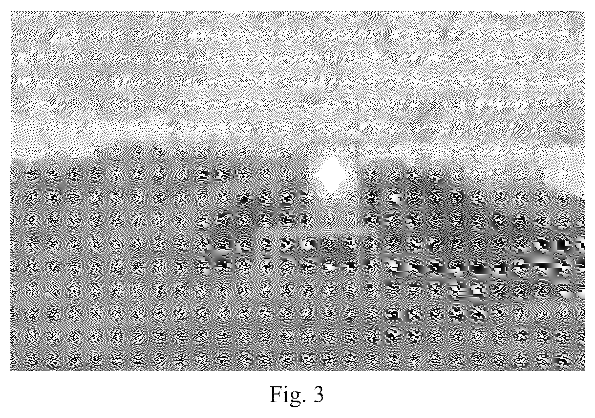 Patent US12108022 Figure 2 – Method for infrared small target detection based on depth map in complex scene