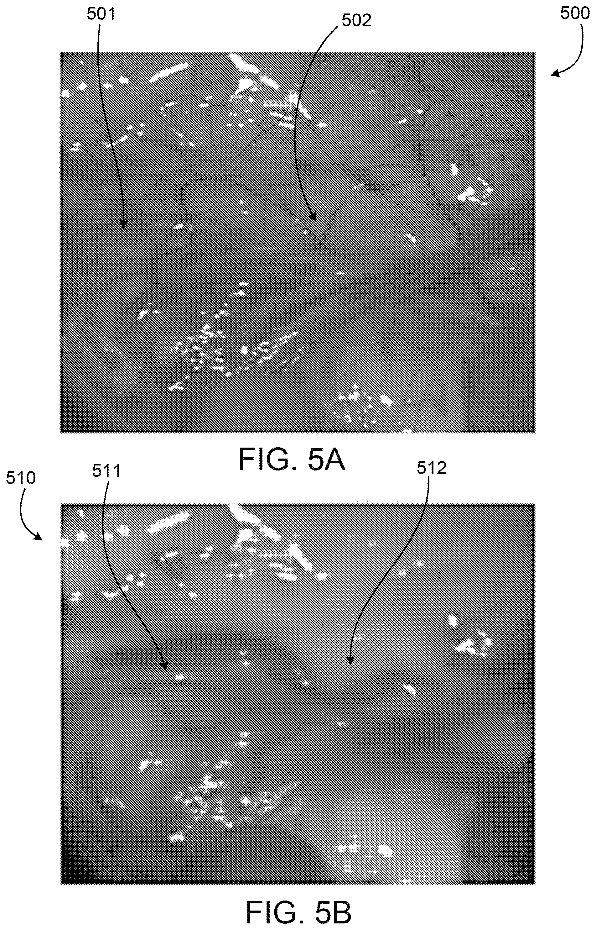 Patent US12108170 Figure 10 – Multiple band pass Bayer pattern filter